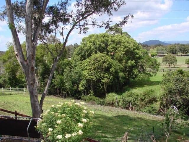 105 Mudgeeraba Road, WORONGARY QLD 4213, Worongary - Thumbnail 6