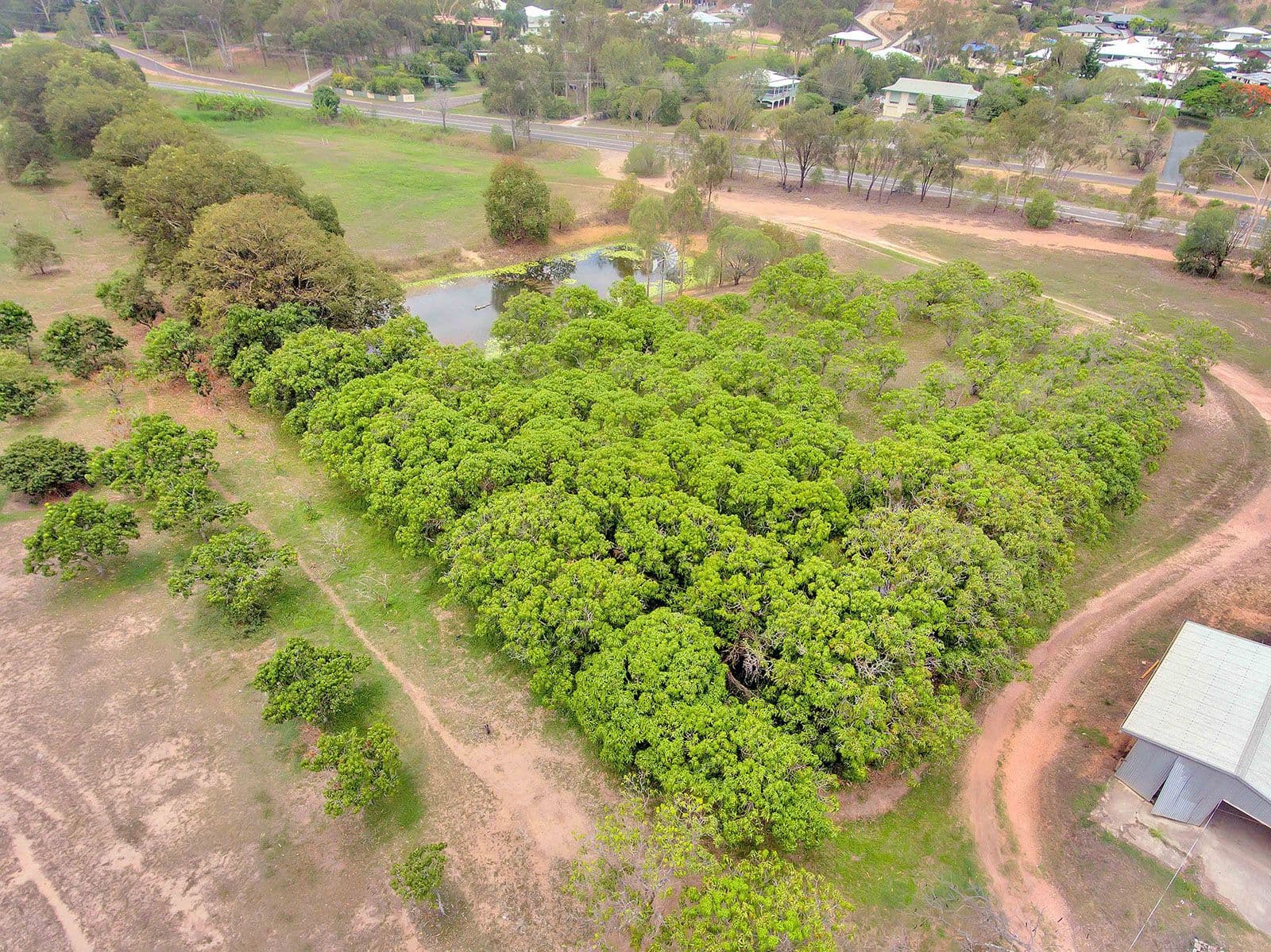 90 Handley Drive, Boyne Island QLD 4680, Boyne Island - Thumbnail 5