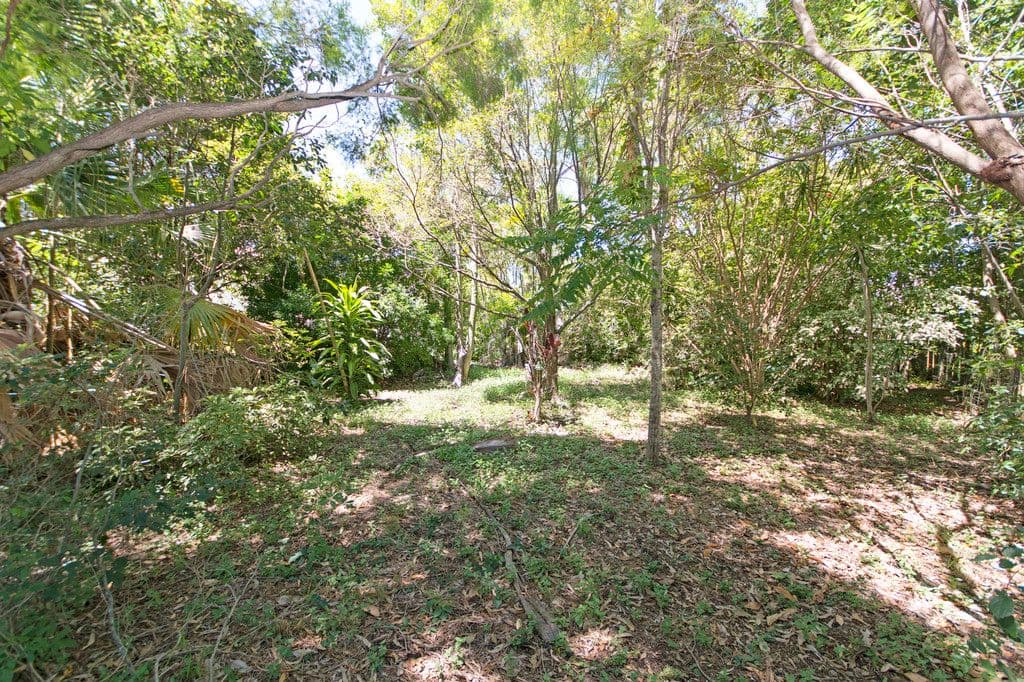 23 Frederick Street, Newtown QLD 4305, Newtown - Thumbnail 3