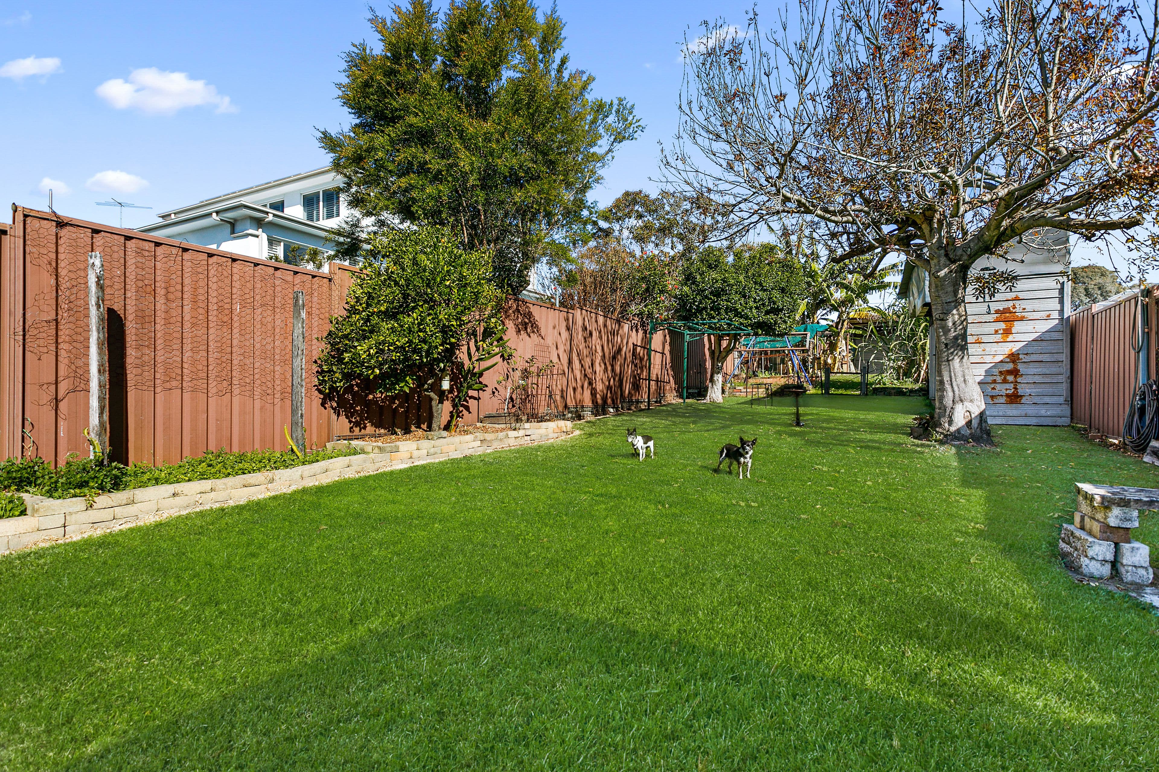 7 Fleet Street, Carlton NSW 2218, Carlton - Thumbnail 7