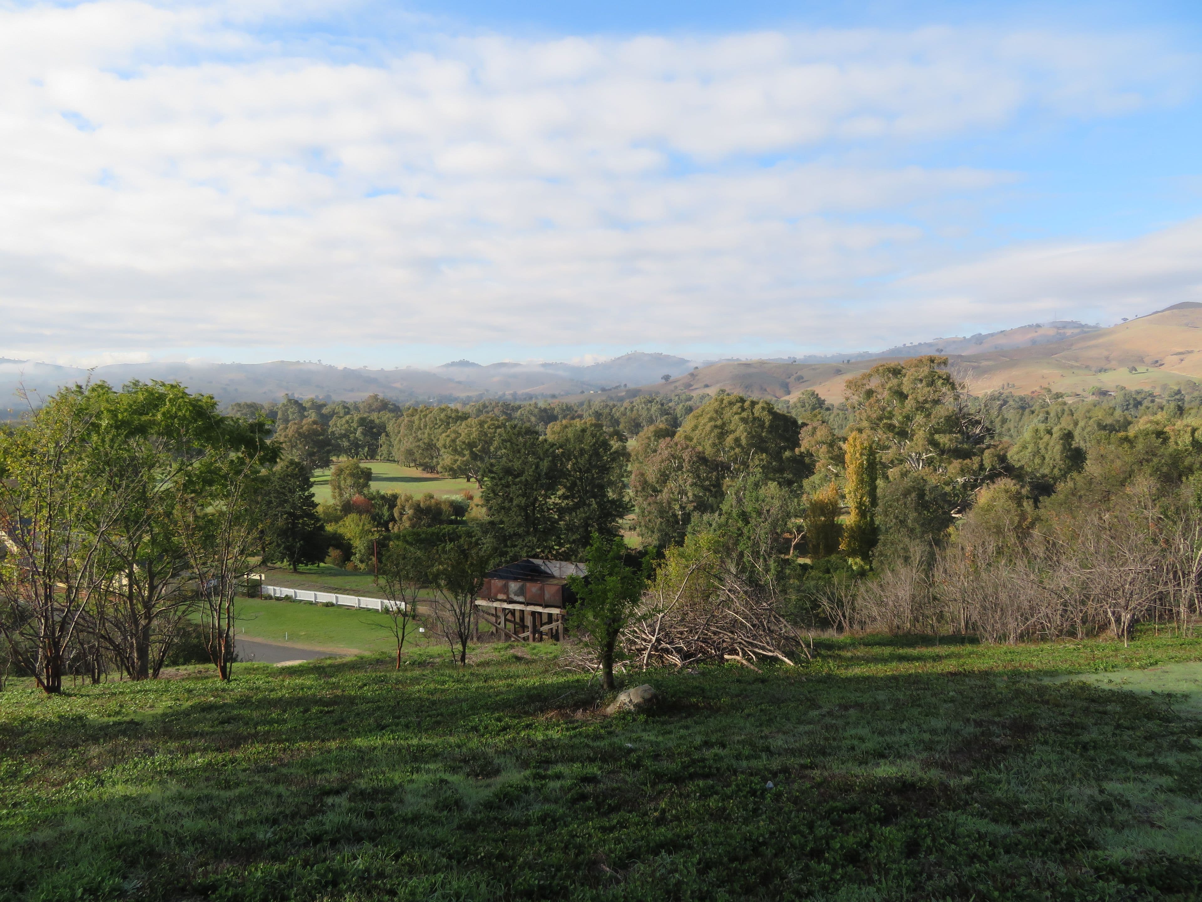 40 Punch Street, Gundagai NSW 2722, Gundagai - Thumbnail 2