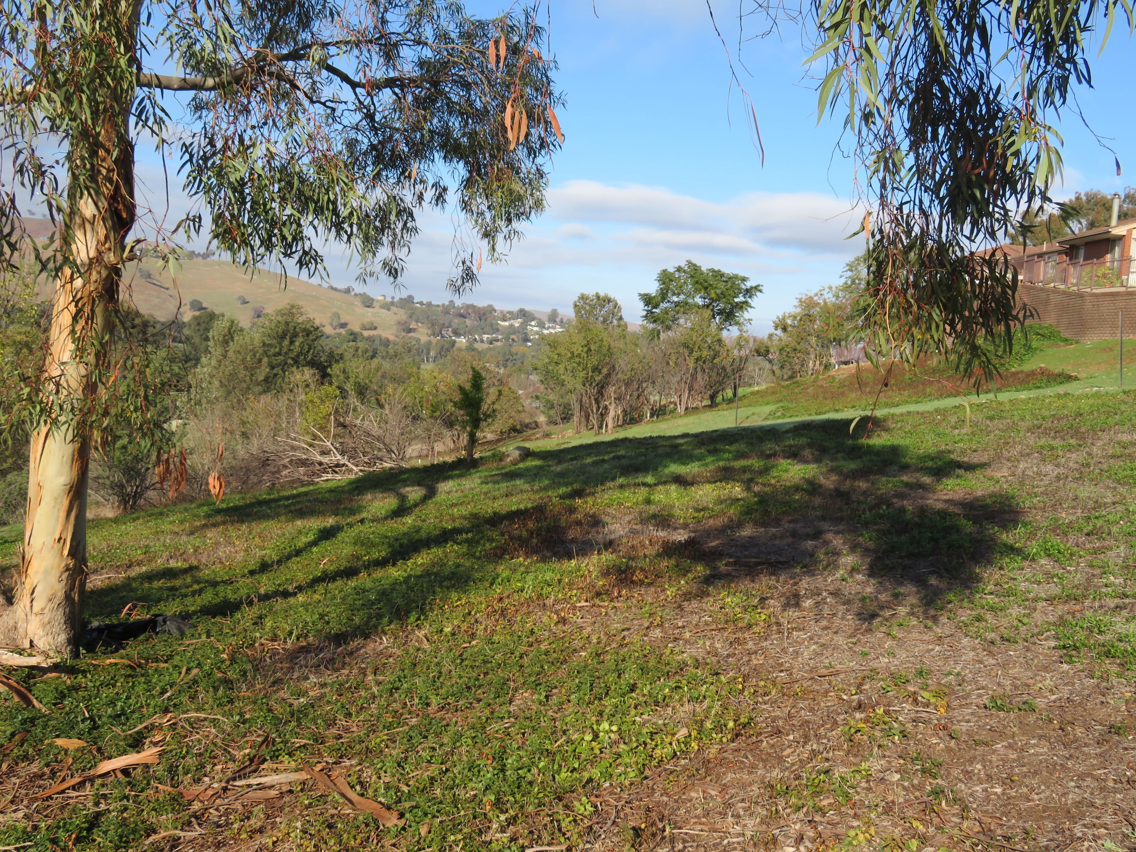 40 Punch Street, Gundagai NSW 2722, Gundagai - Thumbnail 4
