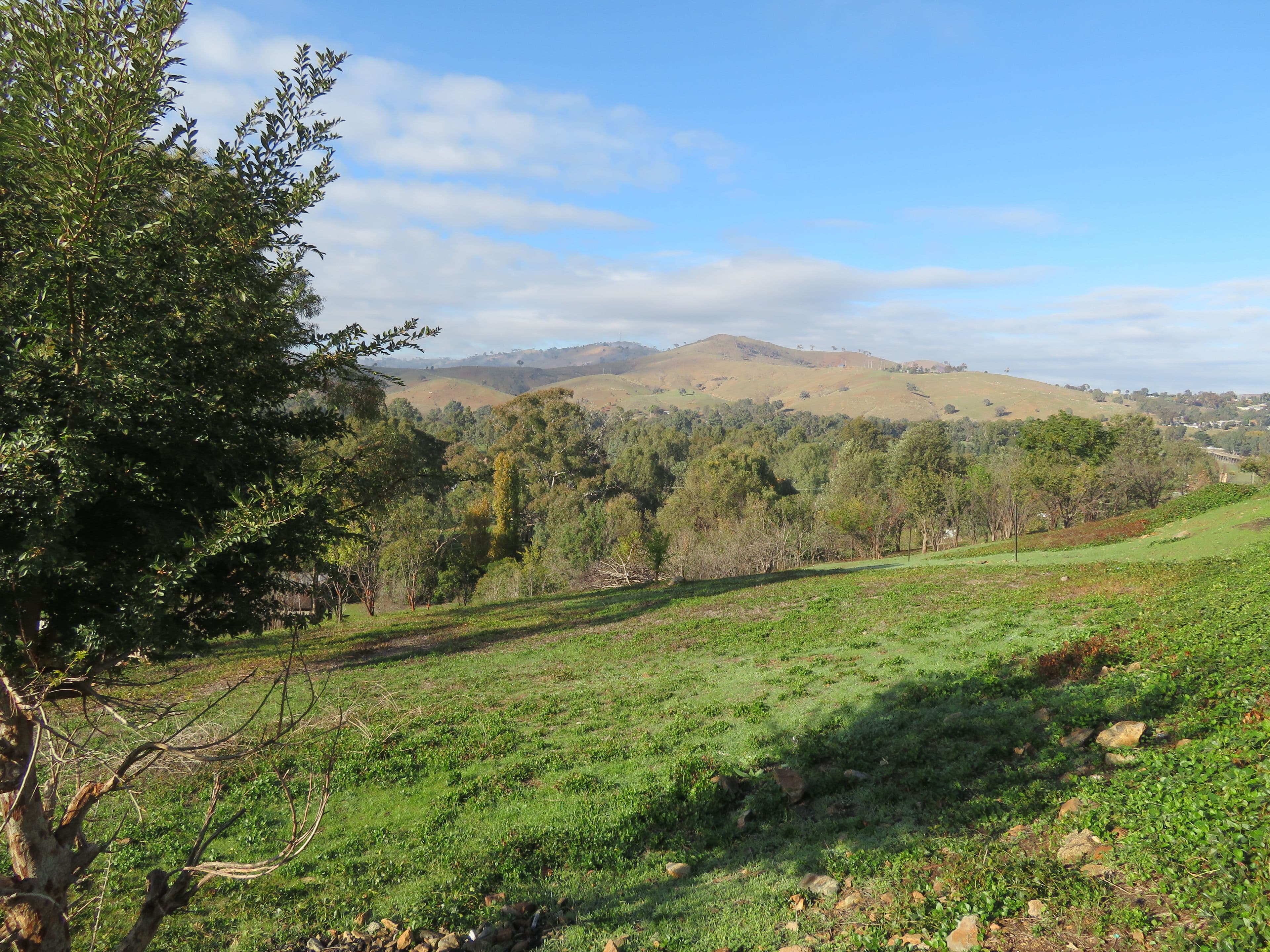 40 Punch Street, Gundagai NSW 2722, Gundagai - Thumbnail 7