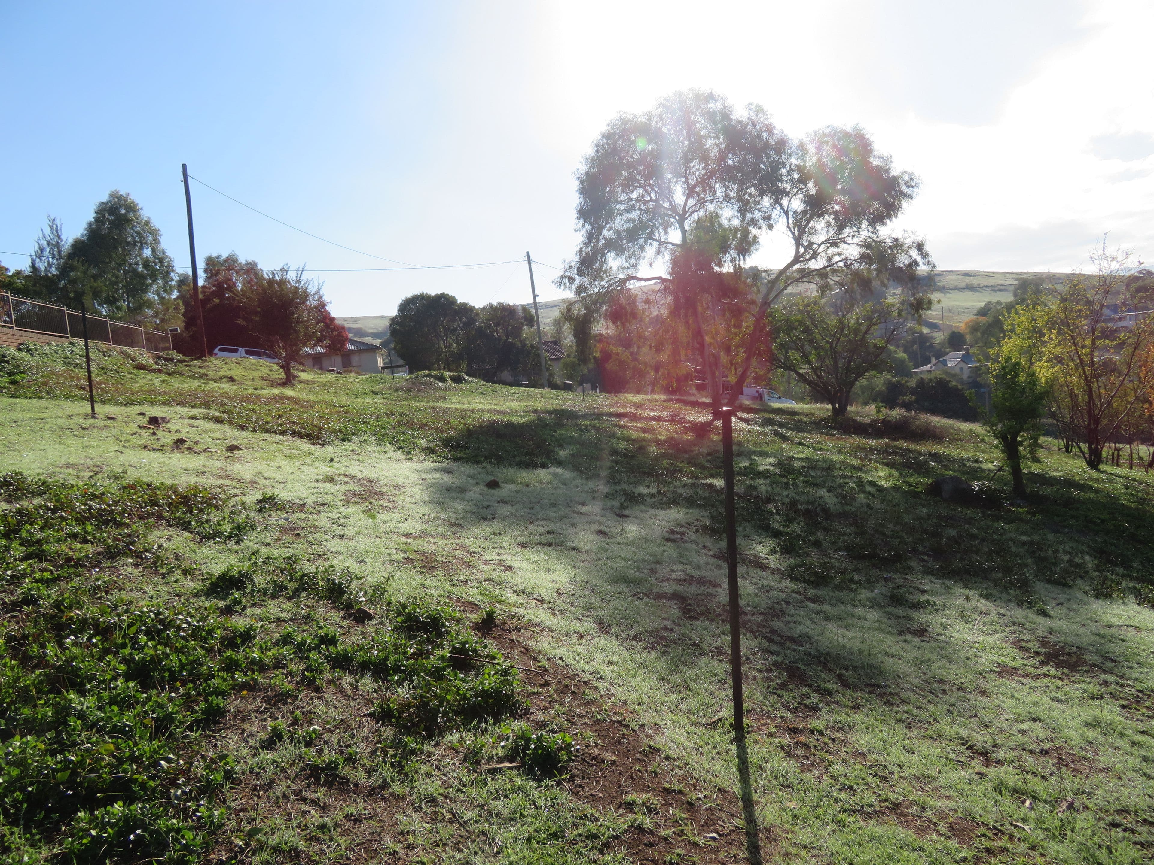 40 Punch Street, Gundagai NSW 2722, Gundagai - Thumbnail 8