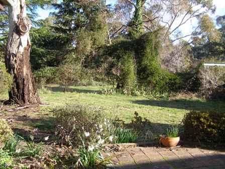 12 Thoopara Place, ORANGE NSW 2800, Orange - Thumbnail 6