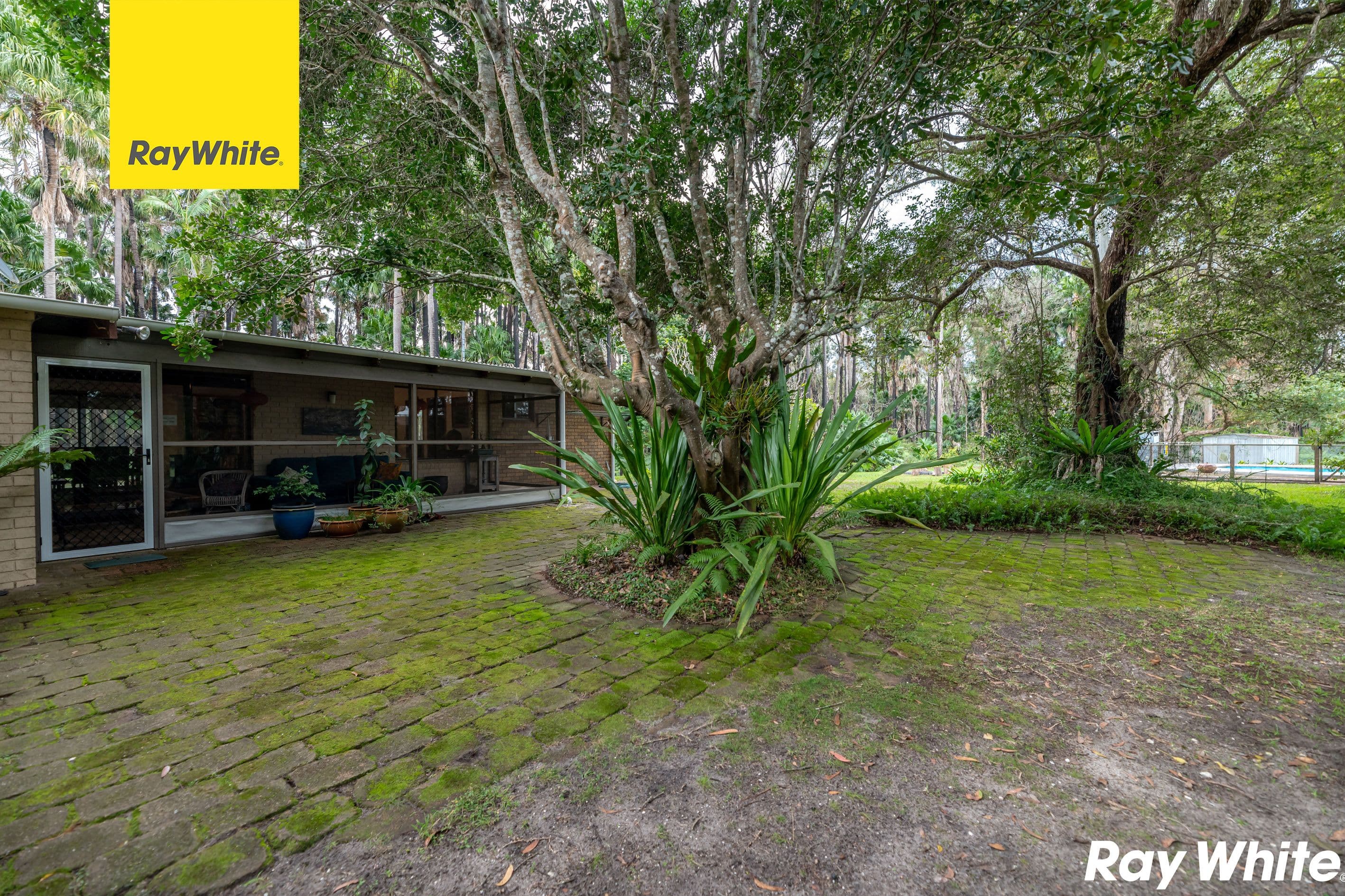 141 South Street, Tuncurry NSW 2428, Tuncurry - Image 1