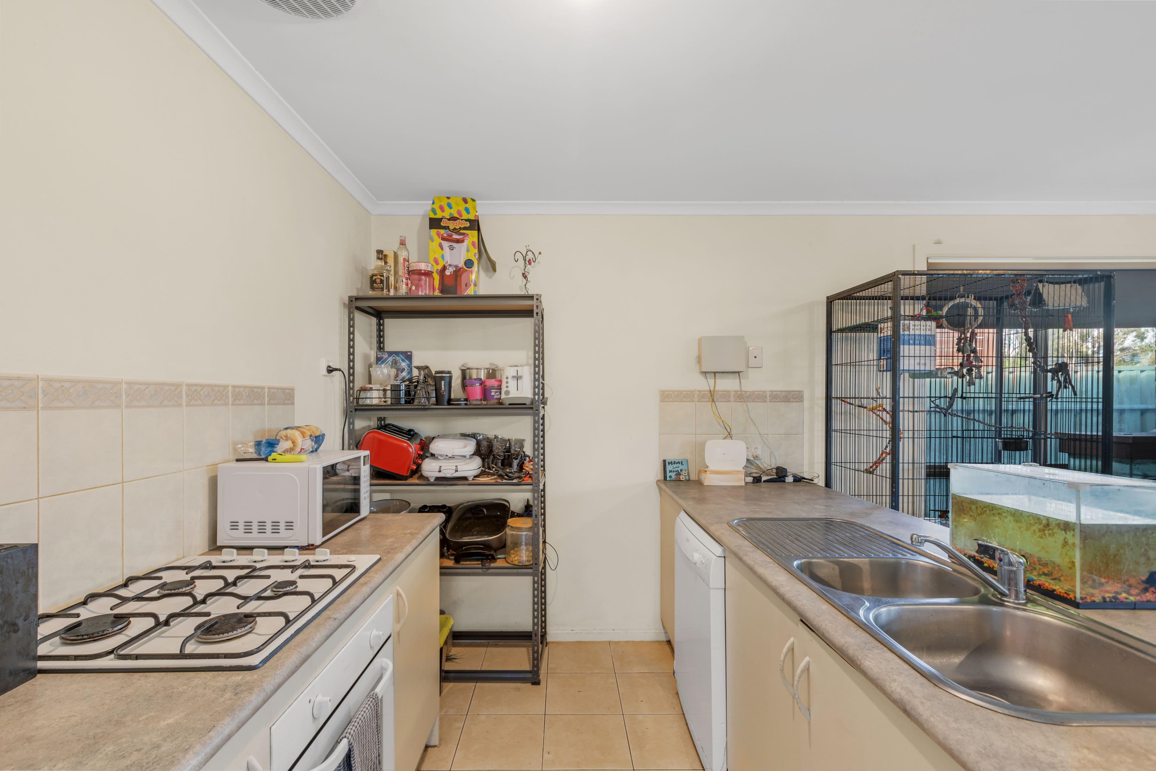 3 Gemini Drive, Munno Para West SA 5115, Munno Para West - Thumbnail 5