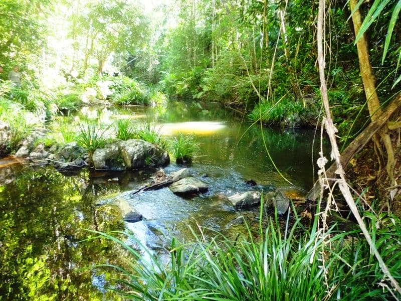 11 Butler Drive, Kuranda QLD 4881, Kuranda - Thumbnail 5