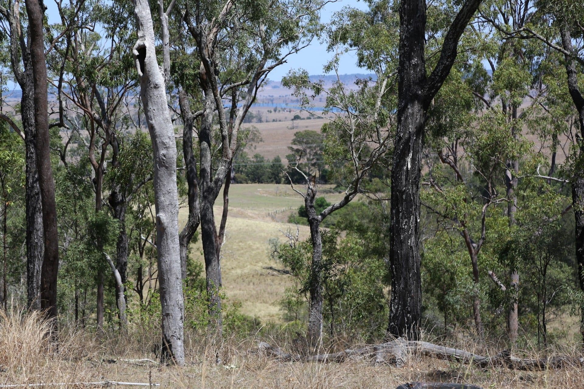 299 Tooloorum Road, Bryden QLD 4312, Bryden - Image 1