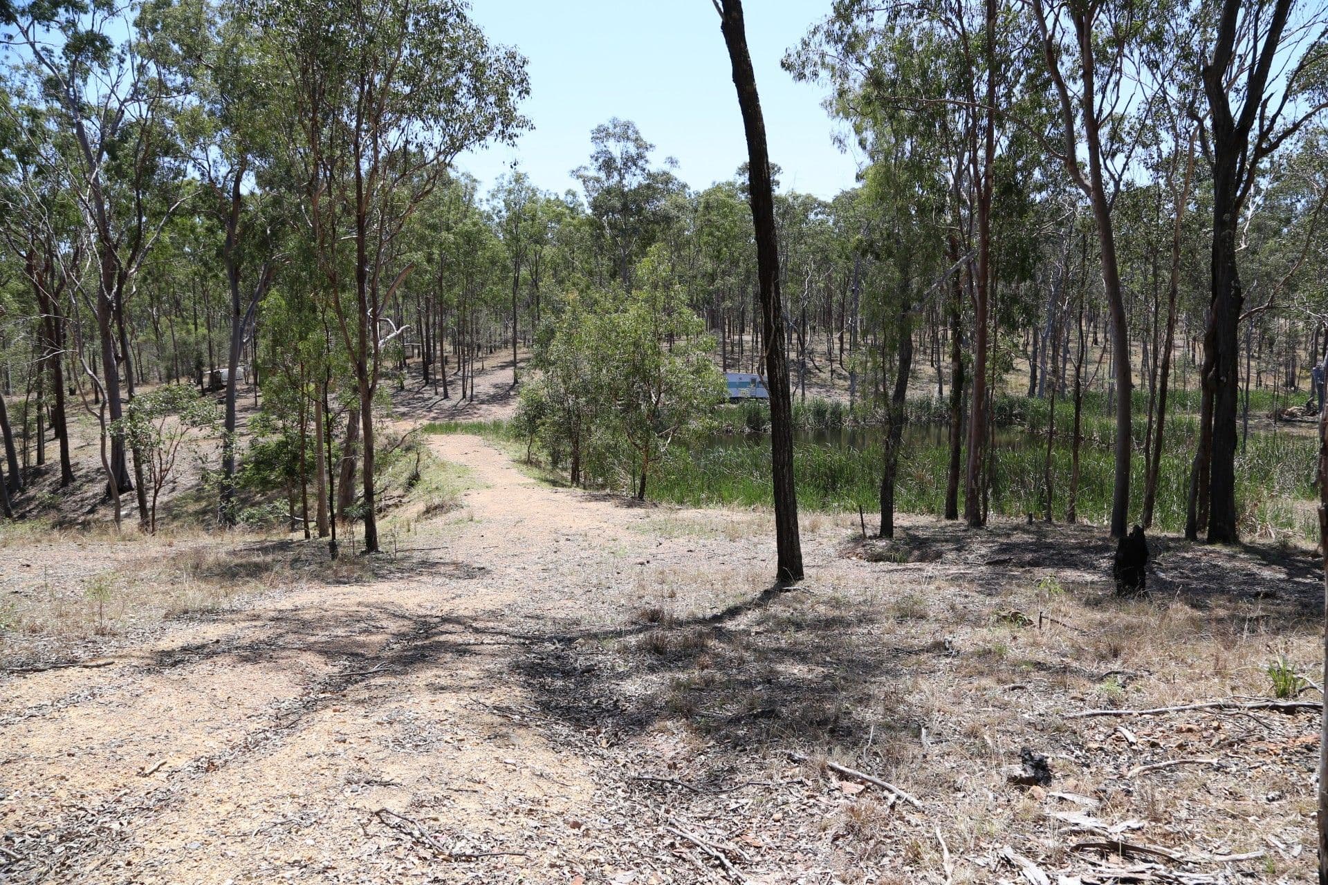 299 Tooloorum Road, Bryden QLD 4312, Bryden - Thumbnail 3