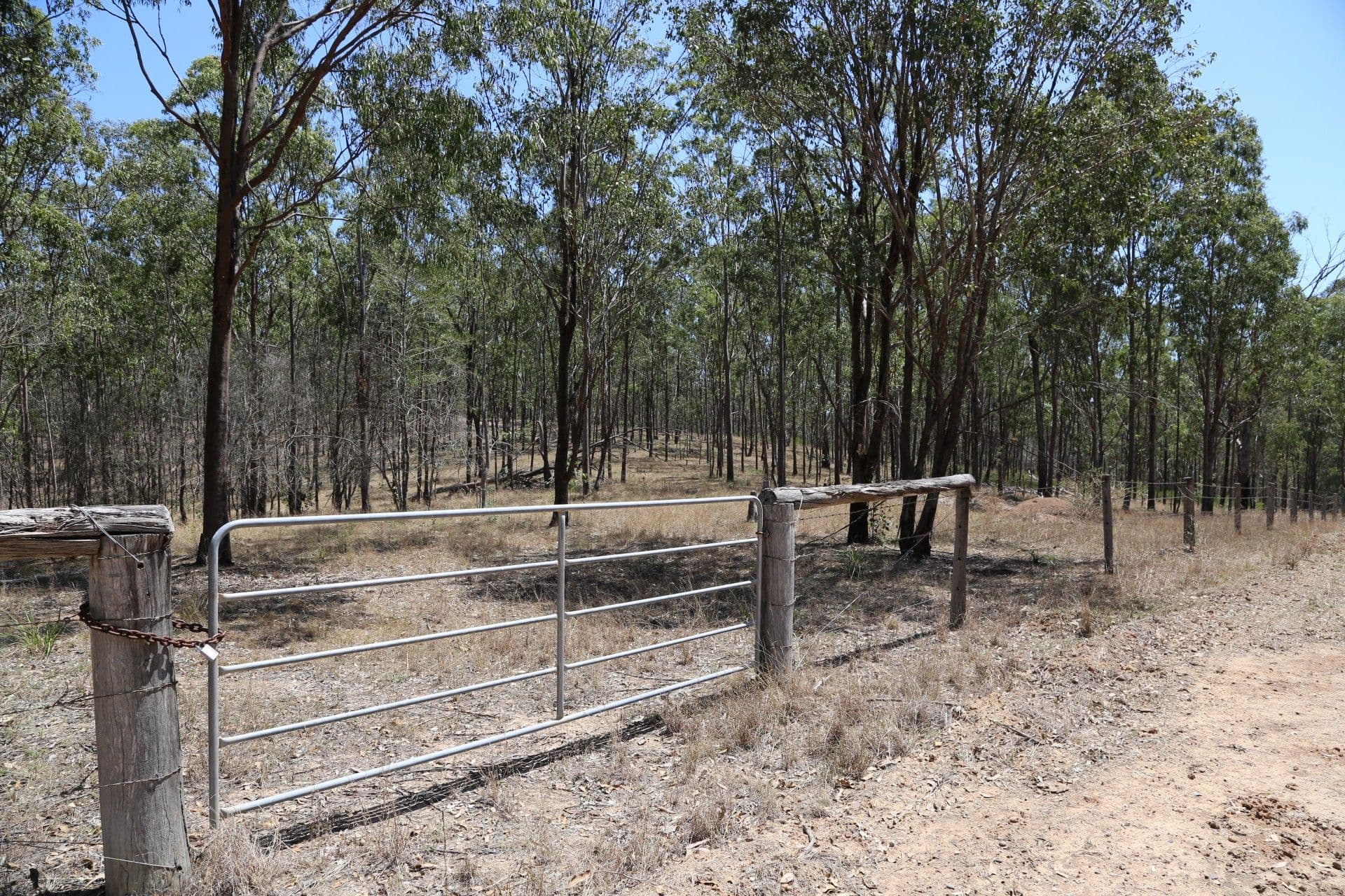299 Tooloorum Road, Bryden QLD 4312, Bryden - Thumbnail 5