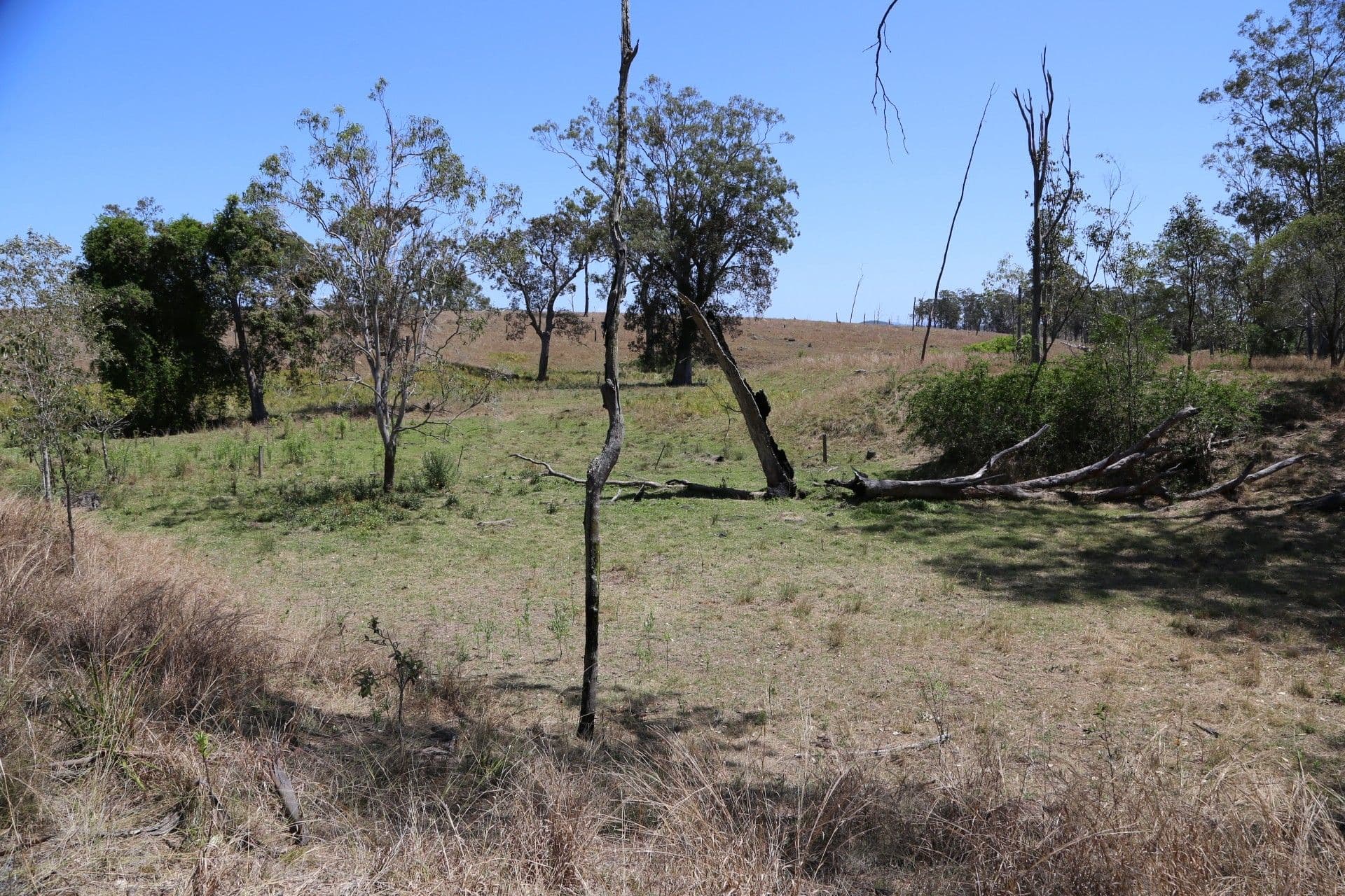 299 Tooloorum Road, Bryden QLD 4312, Bryden - Thumbnail 6
