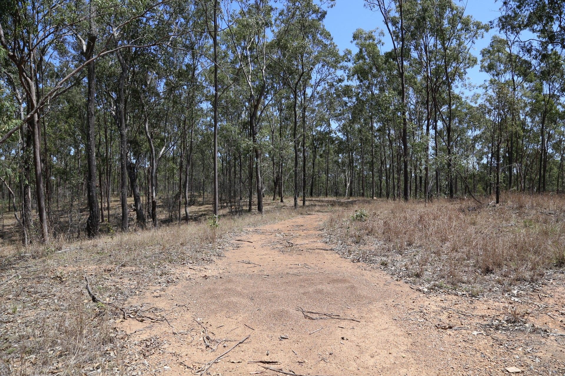 299 Tooloorum Road, Bryden QLD 4312, Bryden - Thumbnail 7