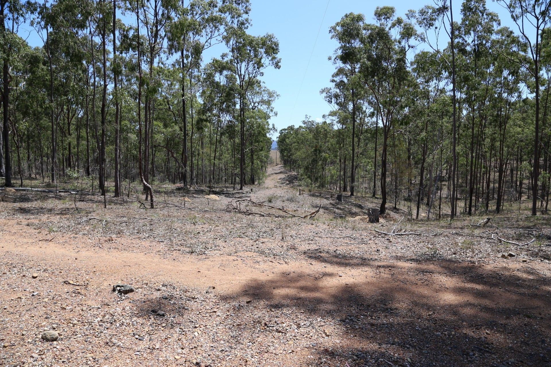 299 Tooloorum Road, Bryden QLD 4312, Bryden - Thumbnail 8