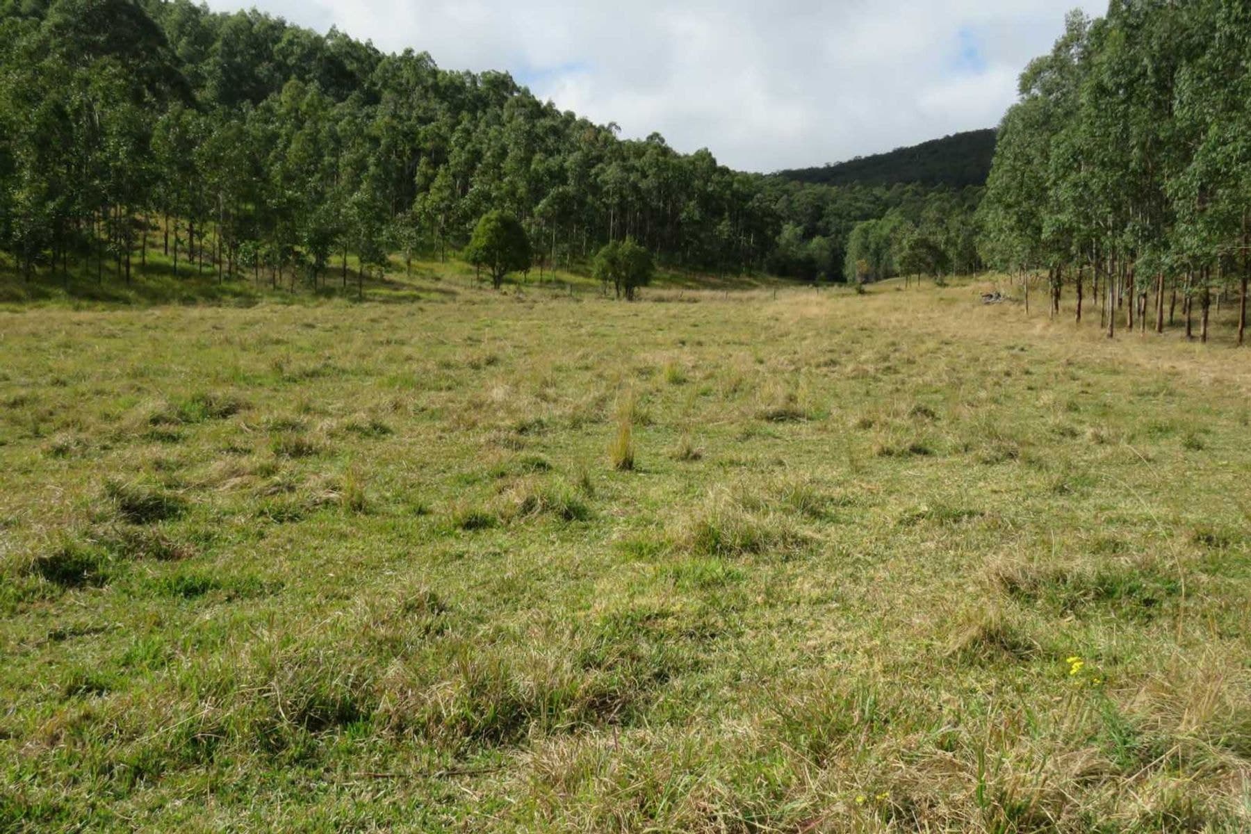 Lot 2 Clarence Way, Urbenville - Thumbnail 5