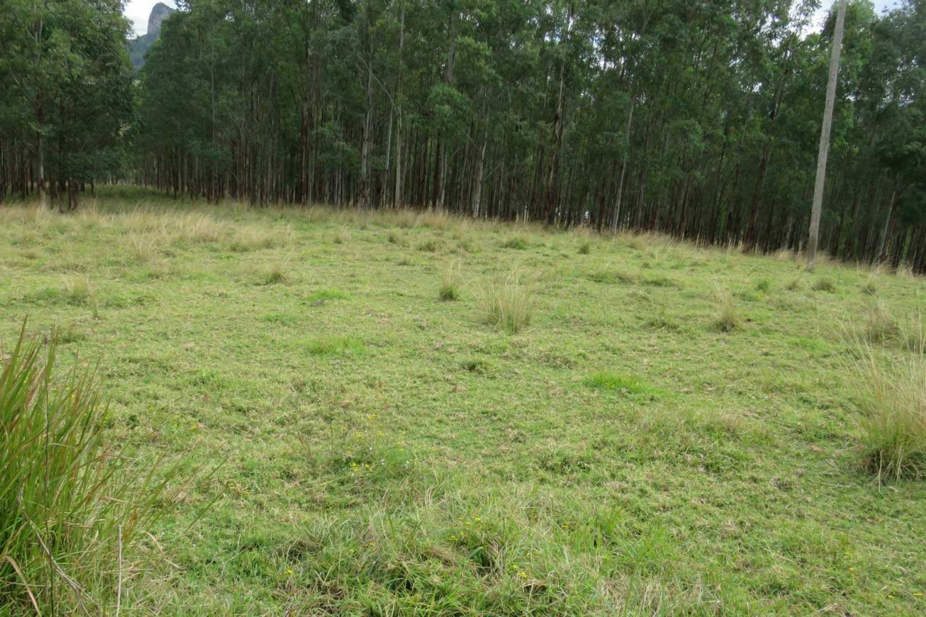 Lot 2 Clarence Way, Urbenville - Thumbnail 8