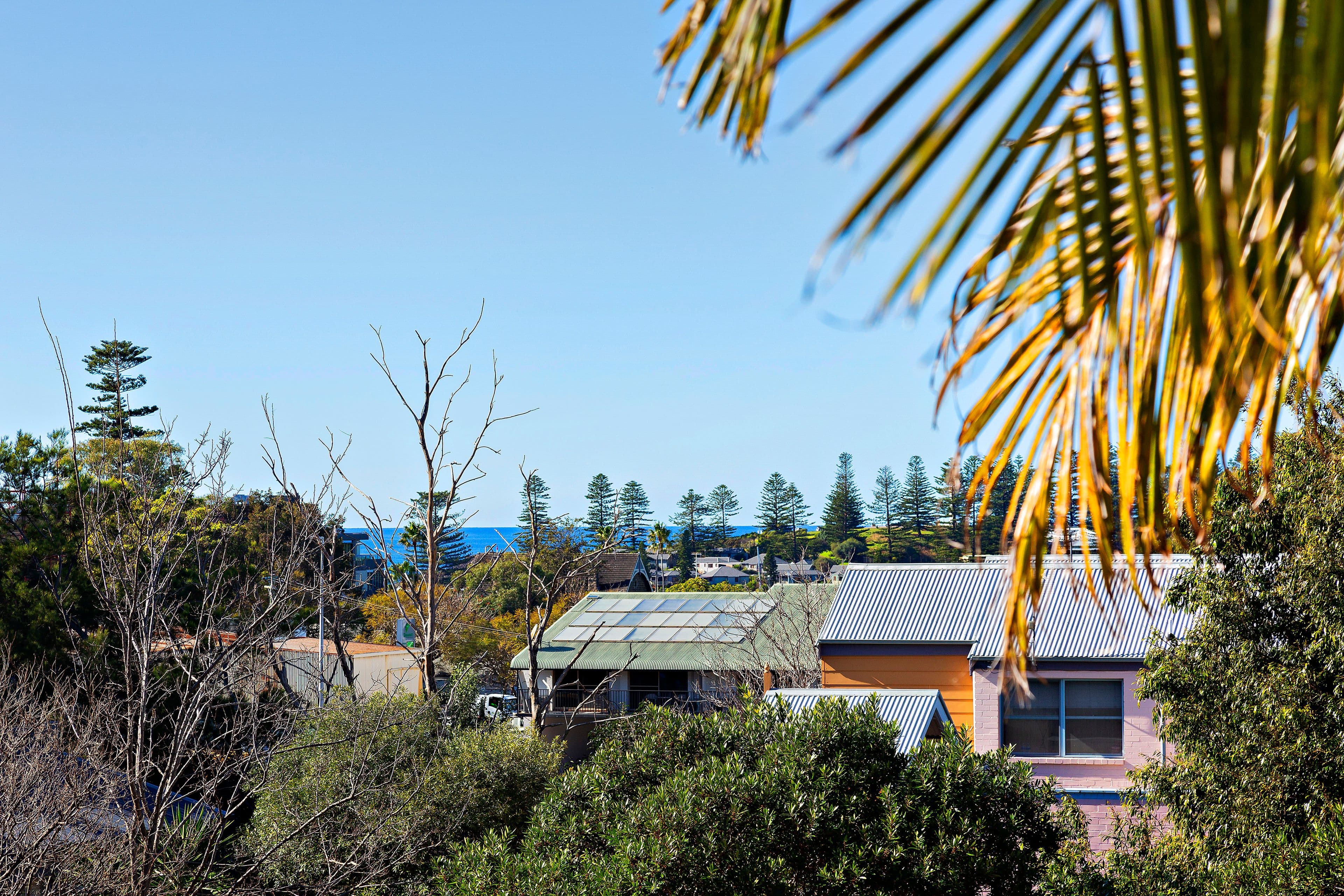 7 Pausin Crescent, Bibra Lake, Bibra Lake - Thumbnail 5