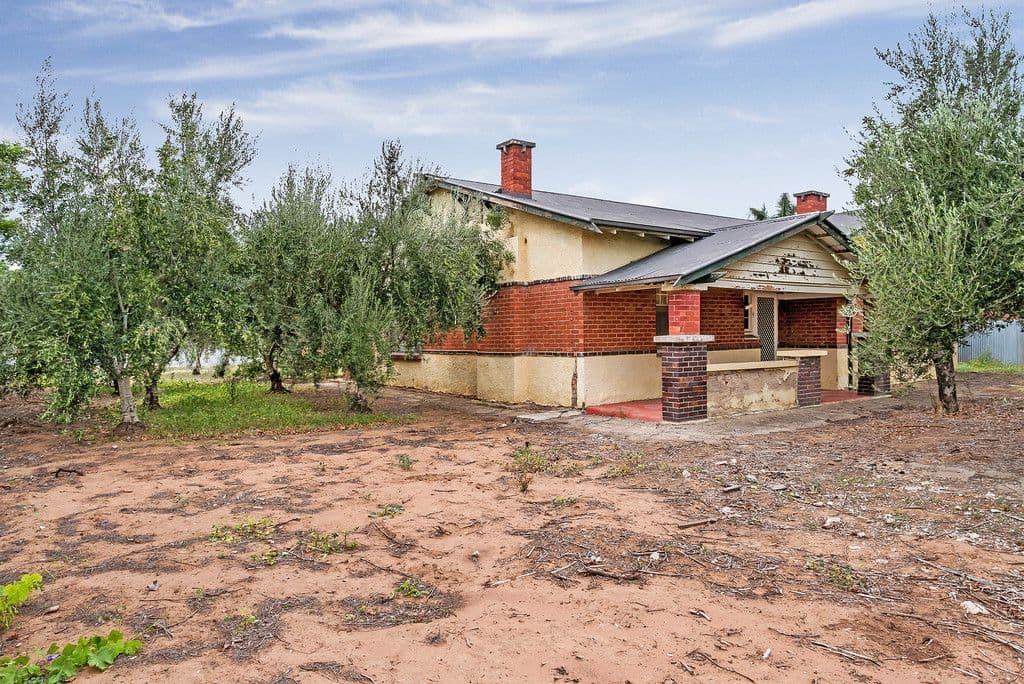 20 Dew Street, Mile End SA 5031, Mile End - Image 1