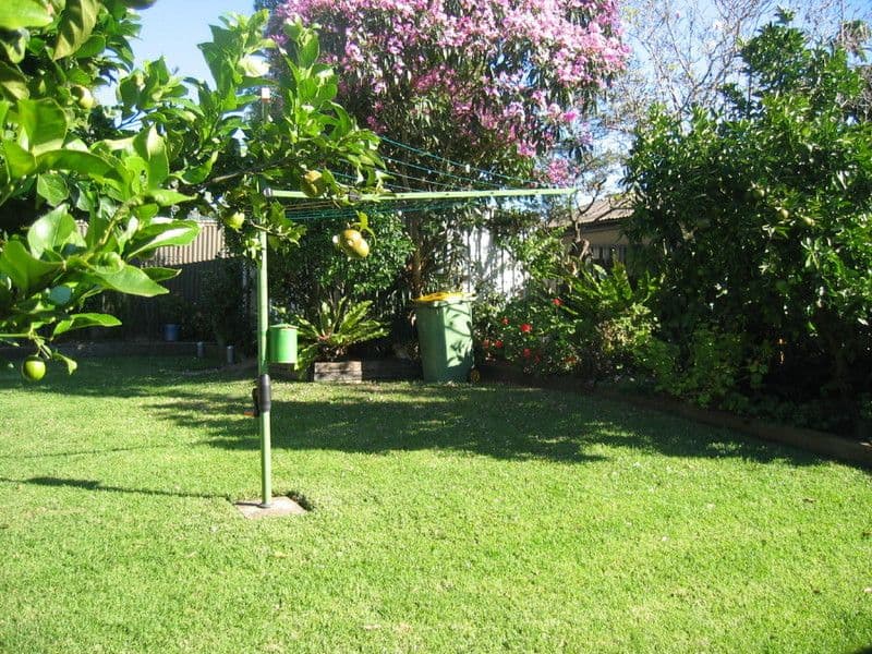 31 Shannon Avenue, MERRYLANDS NSW 2160, Merrylands - Thumbnail 5