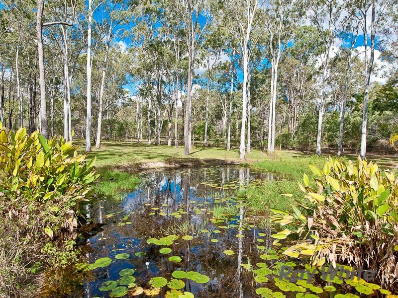 129-143 Latimer Road, LOGAN VILLAGE QLD 4207, Logan Village - Image 1