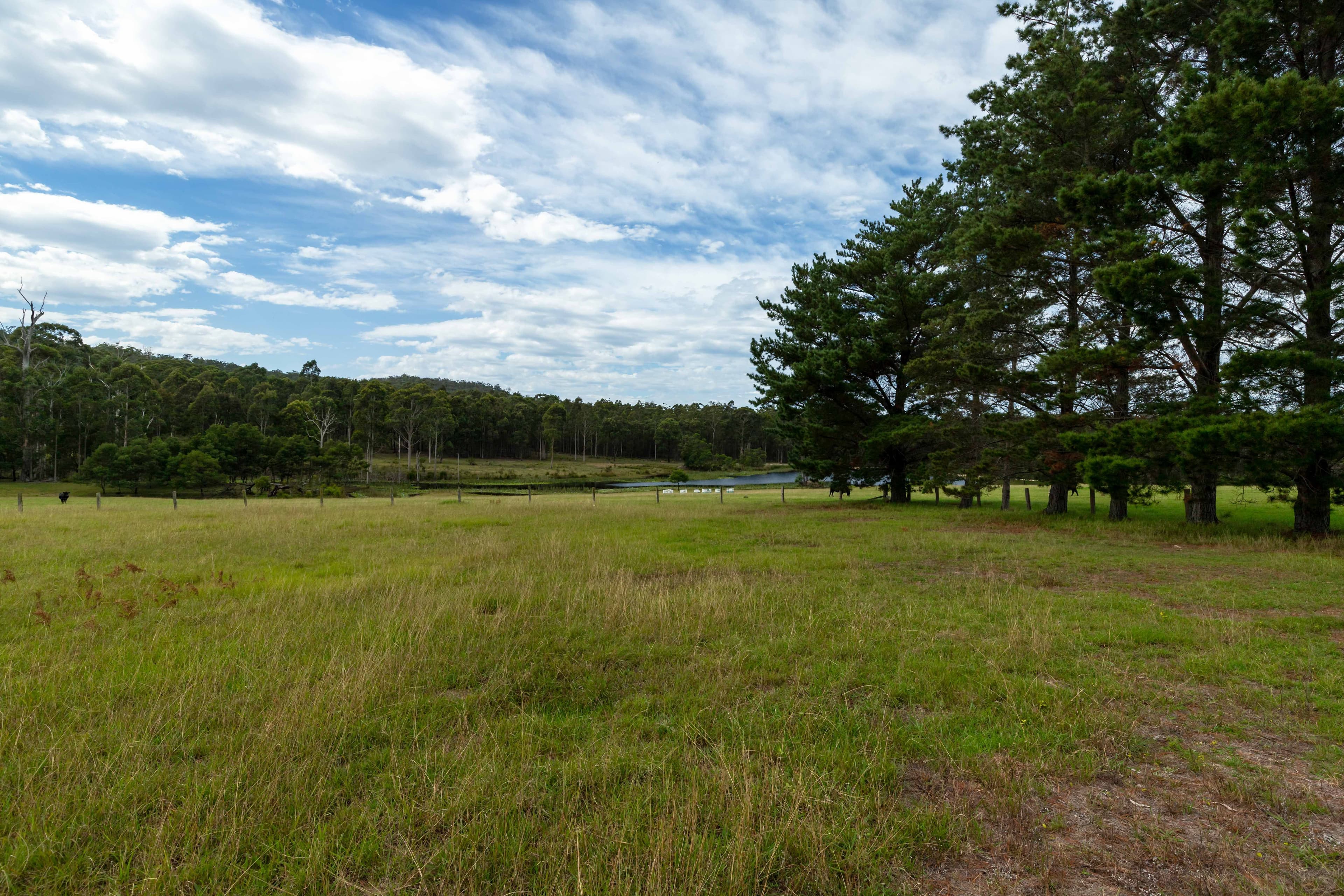 415 Meadows Road, Moruya NSW 2537, Moruya - Thumbnail 7