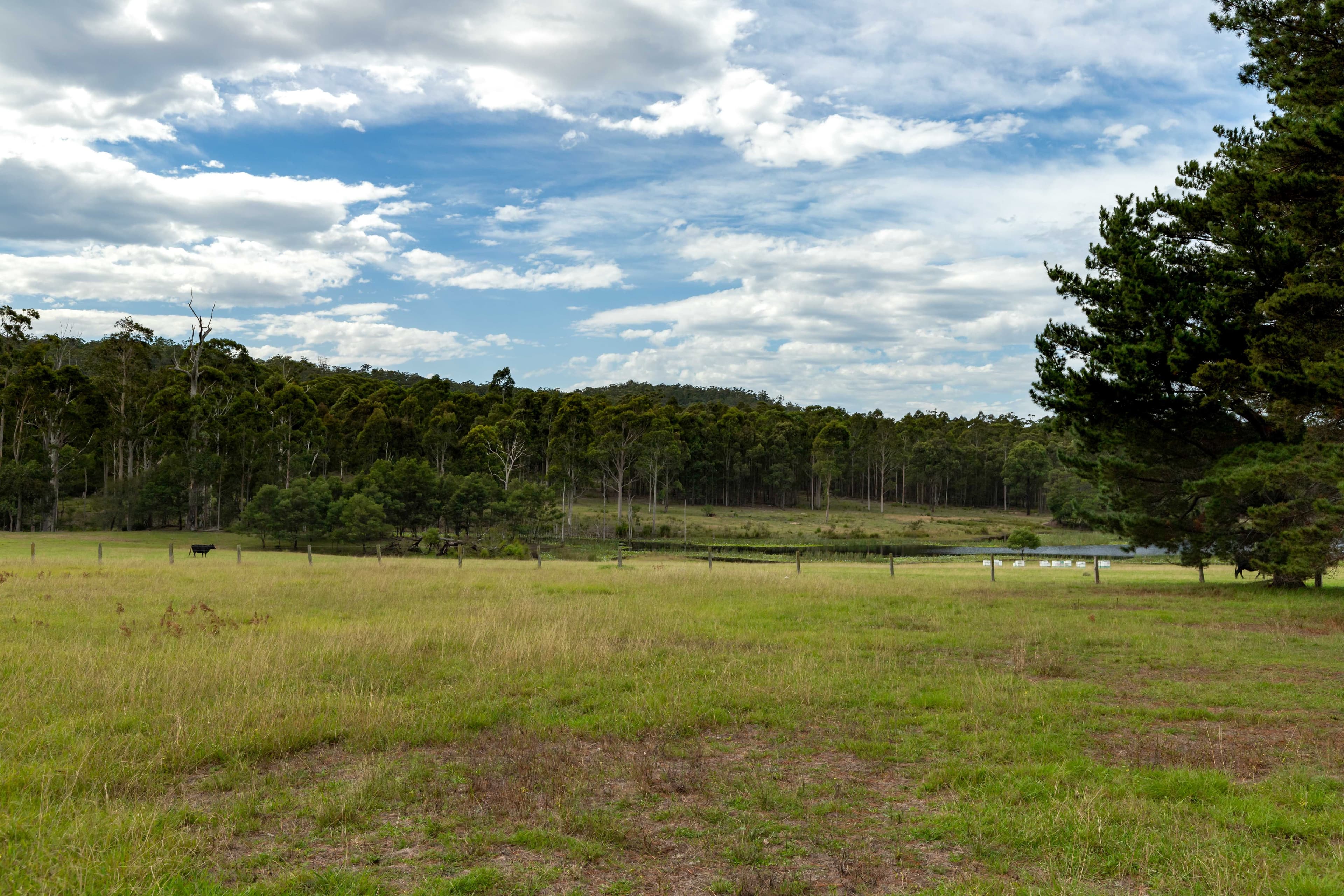 415 Meadows Road, Moruya NSW 2537, Moruya - Thumbnail 8