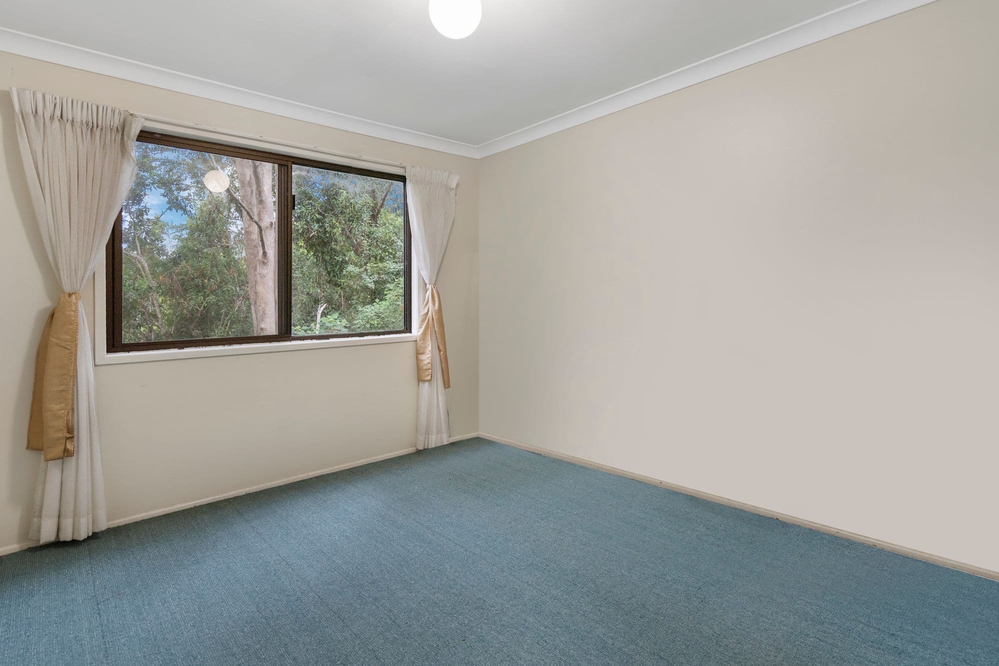 5 Salvia Drive, Tamborine Mountain QLD 4272, Tamborine Mountain - Thumbnail 8