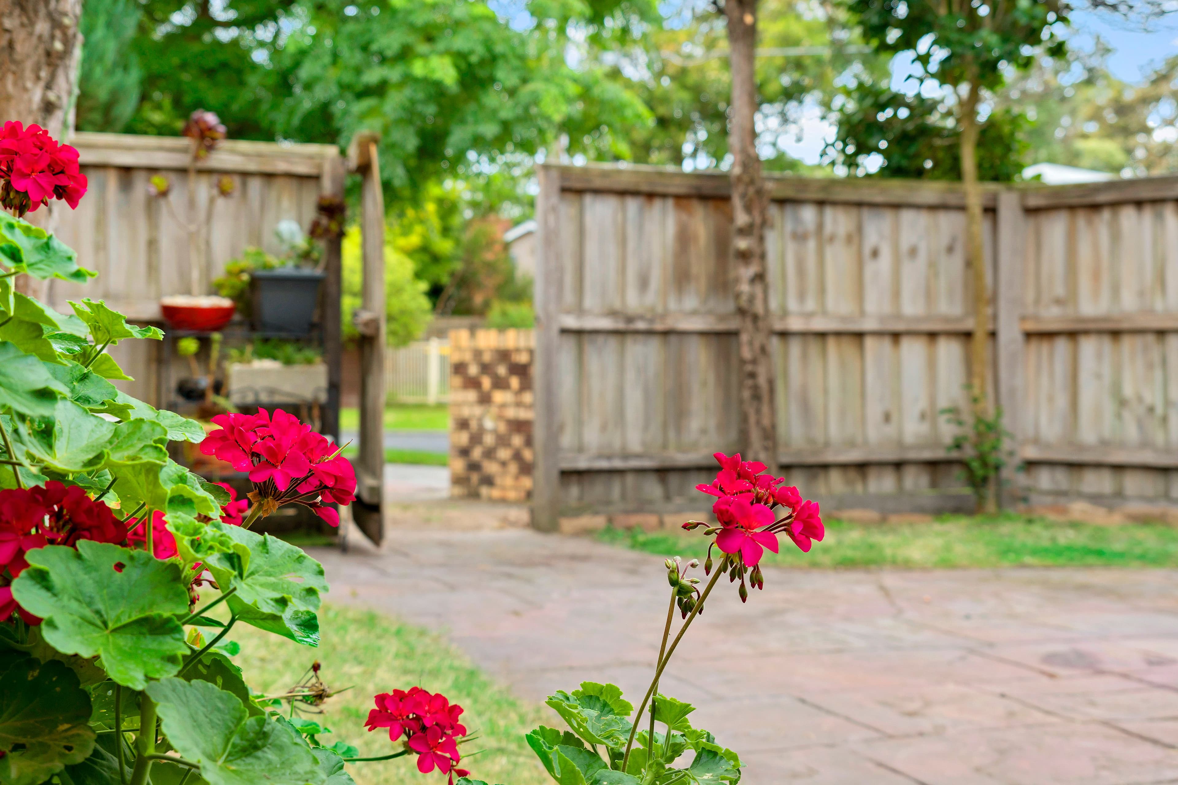 6 Japonica Grove, Frankston South VIC 3199, Frankston South - Thumbnail 2