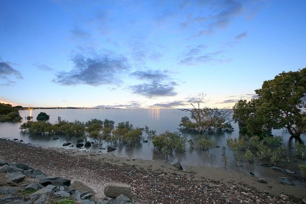 98 Thomas Street, Birkdale QLD 4159, Birkdale - Thumbnail 6