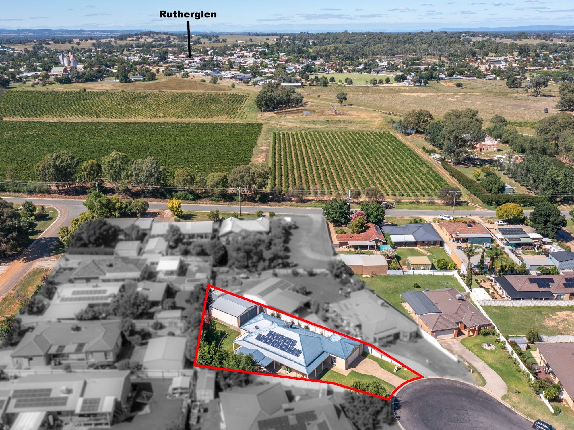 15 Muscat Court, Rutherglen VIC 3685, Rutherglen - Thumbnail 4