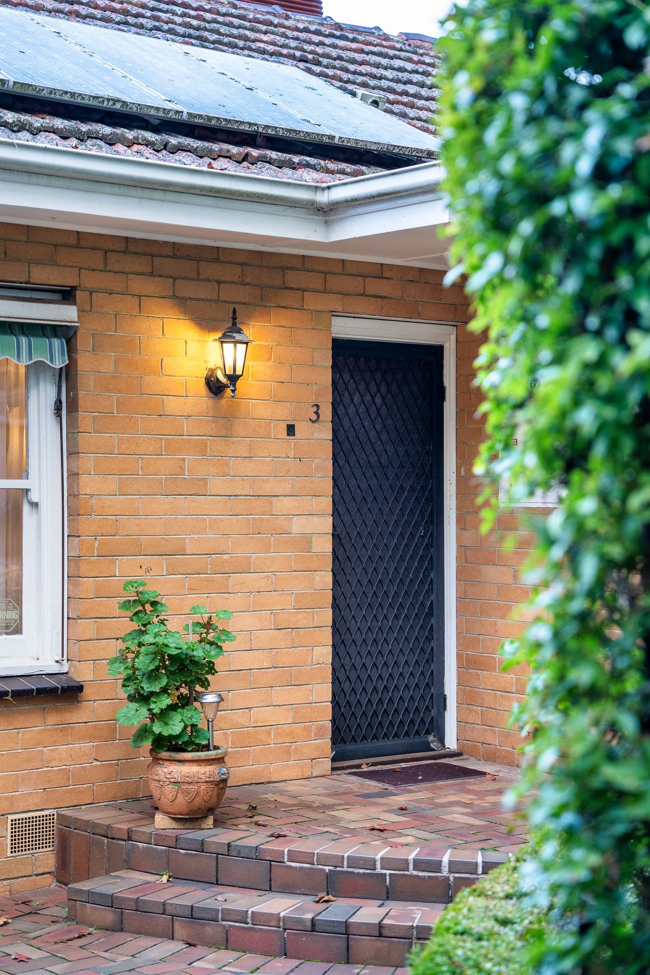 3 Haig Street, Box Hill South VIC 3128, Box Hill South - Thumbnail 3
