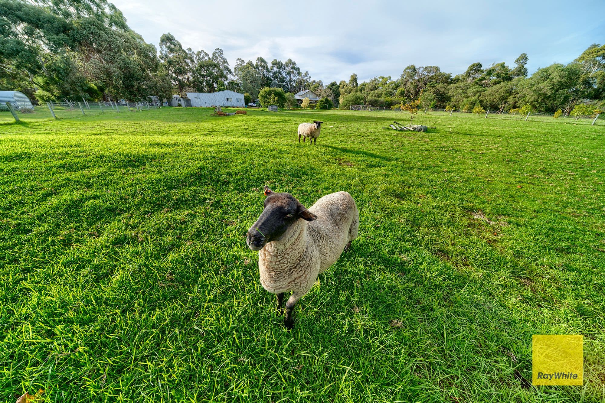 242 Bushby Road, Lower King WA 6330, Lower King - Thumbnail 8