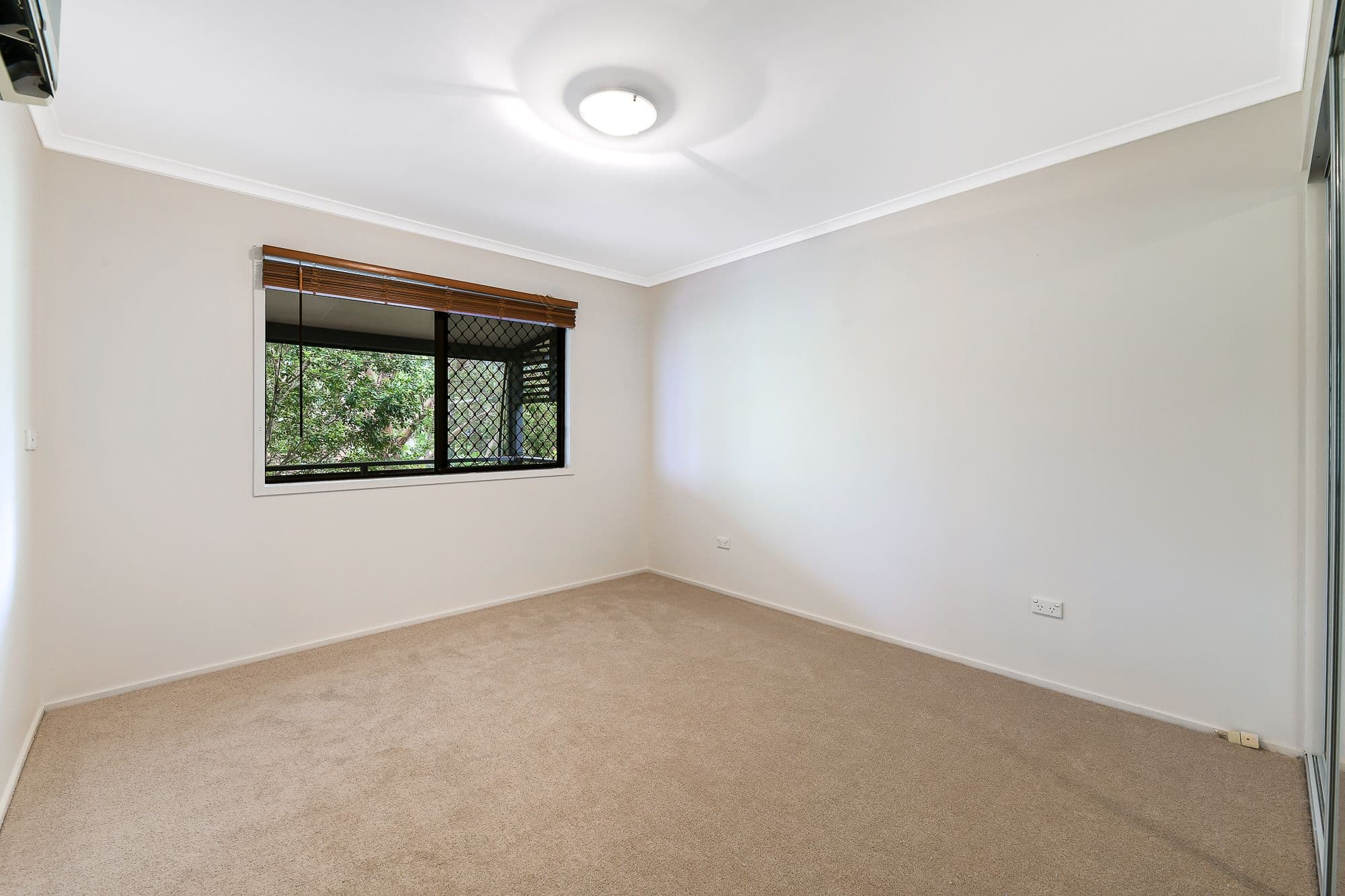 3 Lyra Court, Bli Bli QLD 4560, Bli Bli - Thumbnail 7