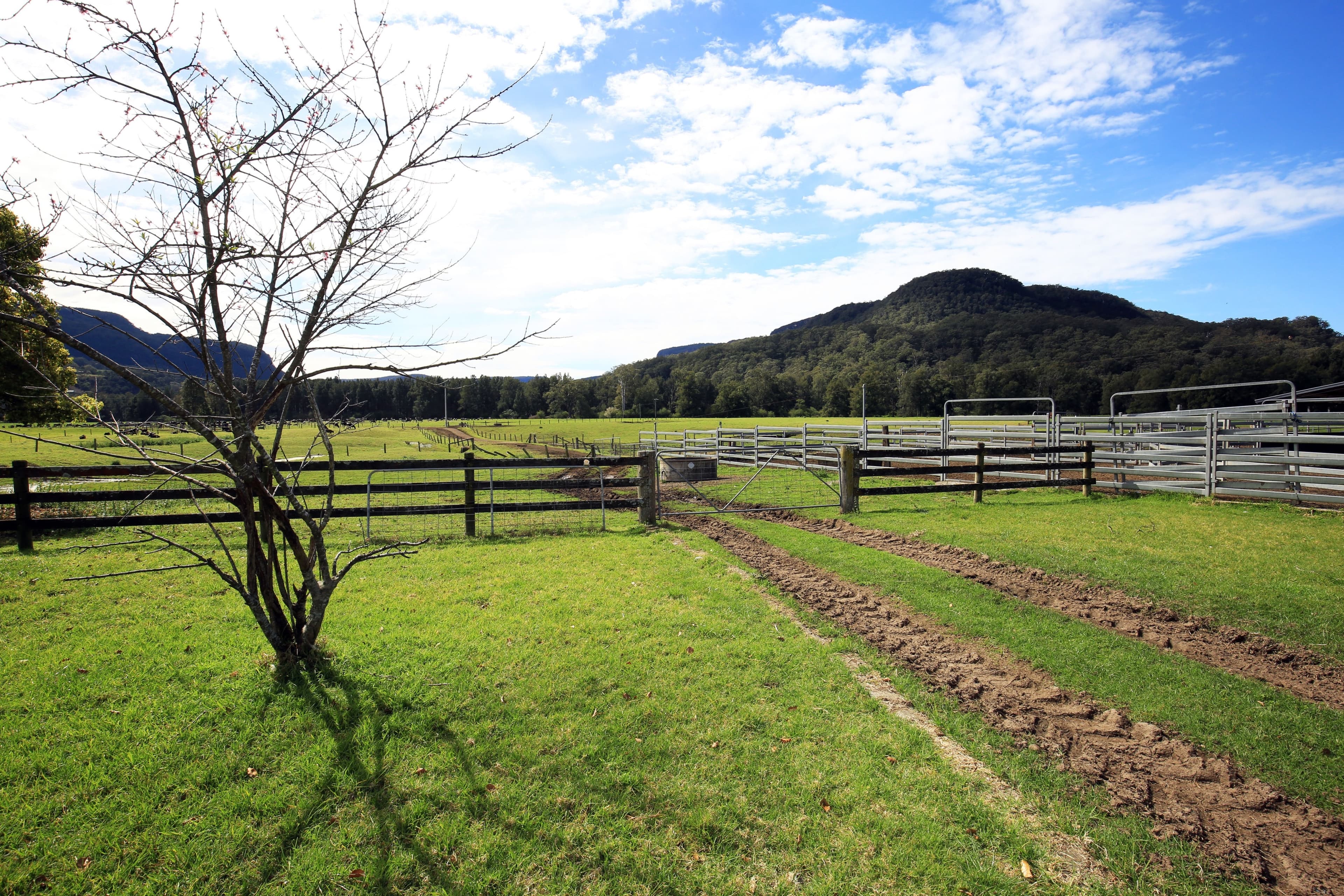 184 Glenmurray Road, Kangaroo Valley, Kangaroo Valley - Thumbnail 2