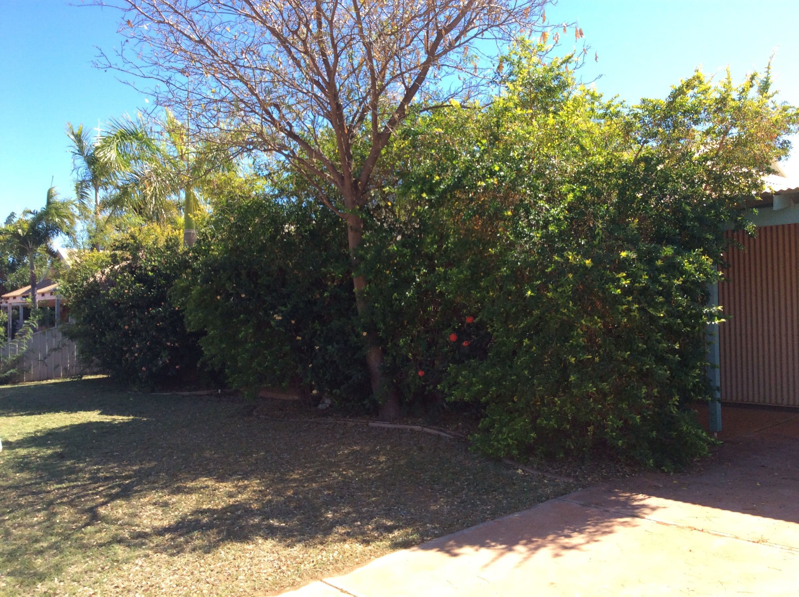 63 Radley Drive, Baynton WA 6714, Baynton - Image 1