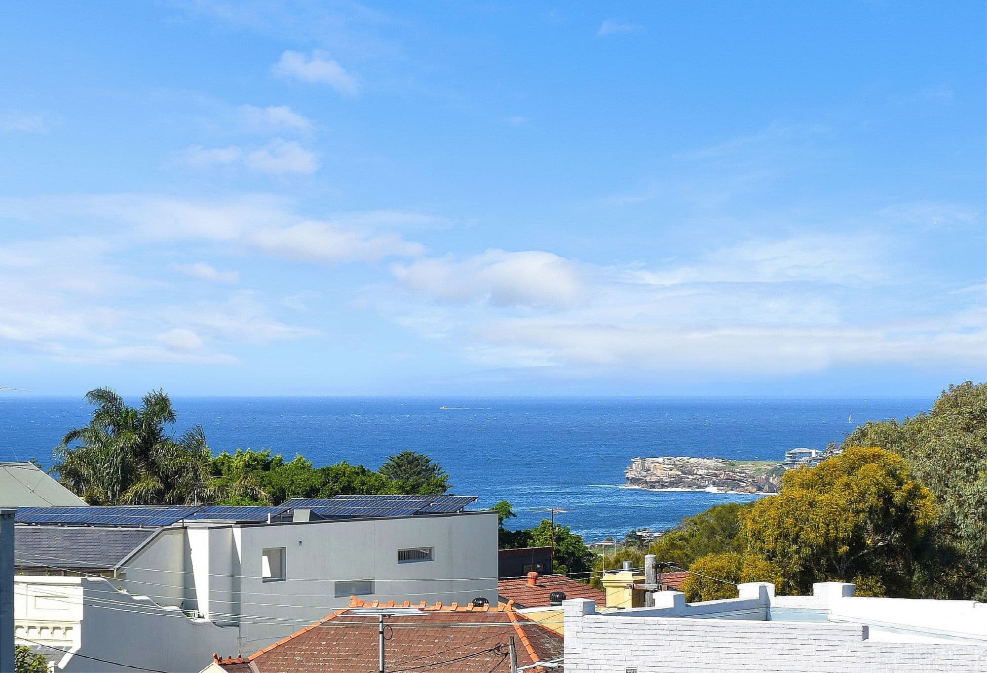 56 Fern Street, Randwick NSW 2031, Randwick - Image 1