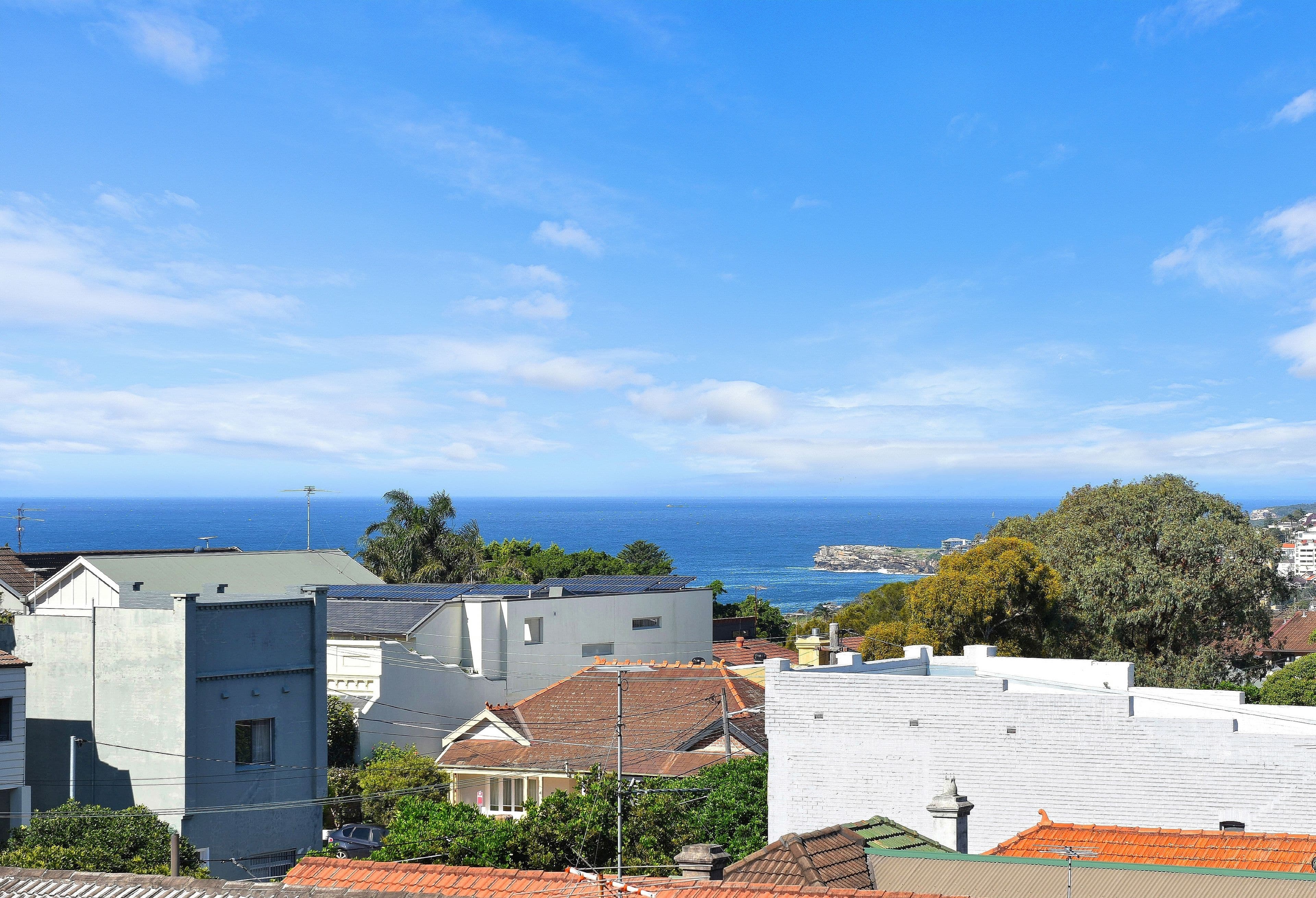 56 Fern Street, Randwick NSW 2031, Randwick - Thumbnail 8