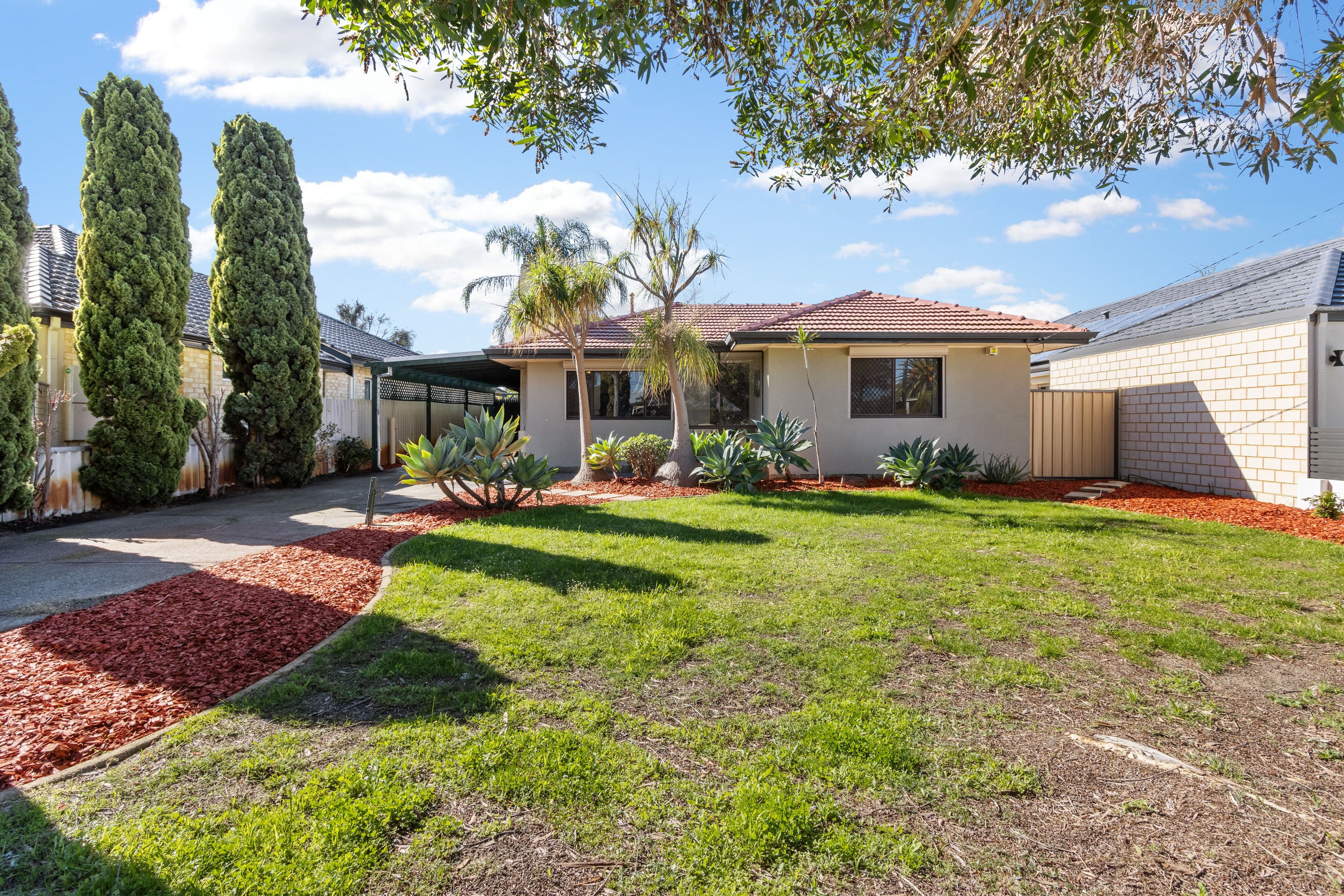 133 Williamson Avenue, Cloverdale WA 6105, Cloverdale - Thumbnail 3
