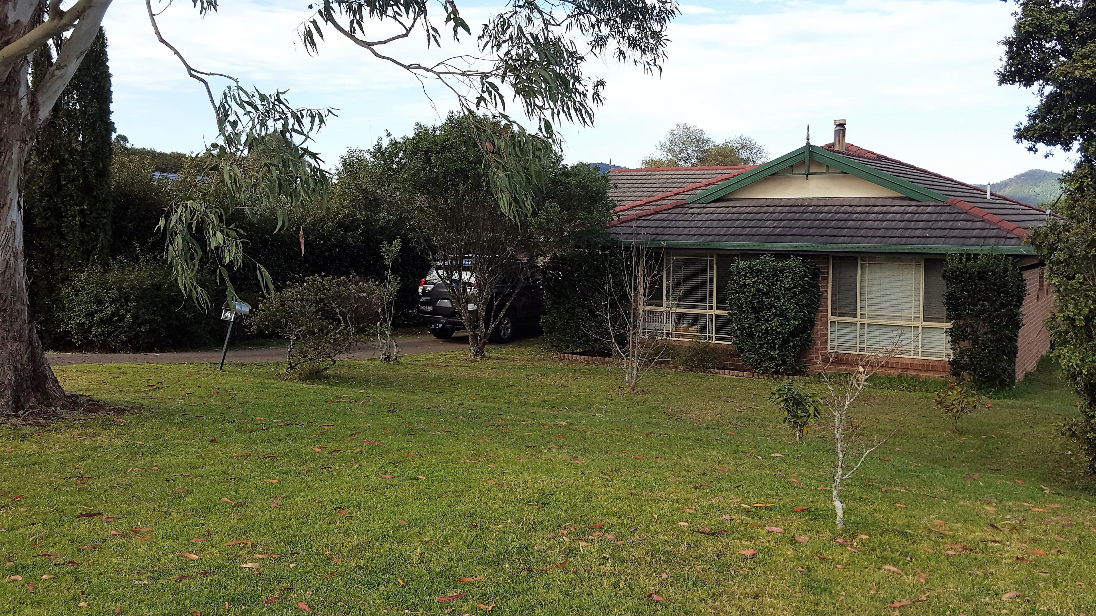 Dorrigo NSW 2453, Dorrigo - Image 1