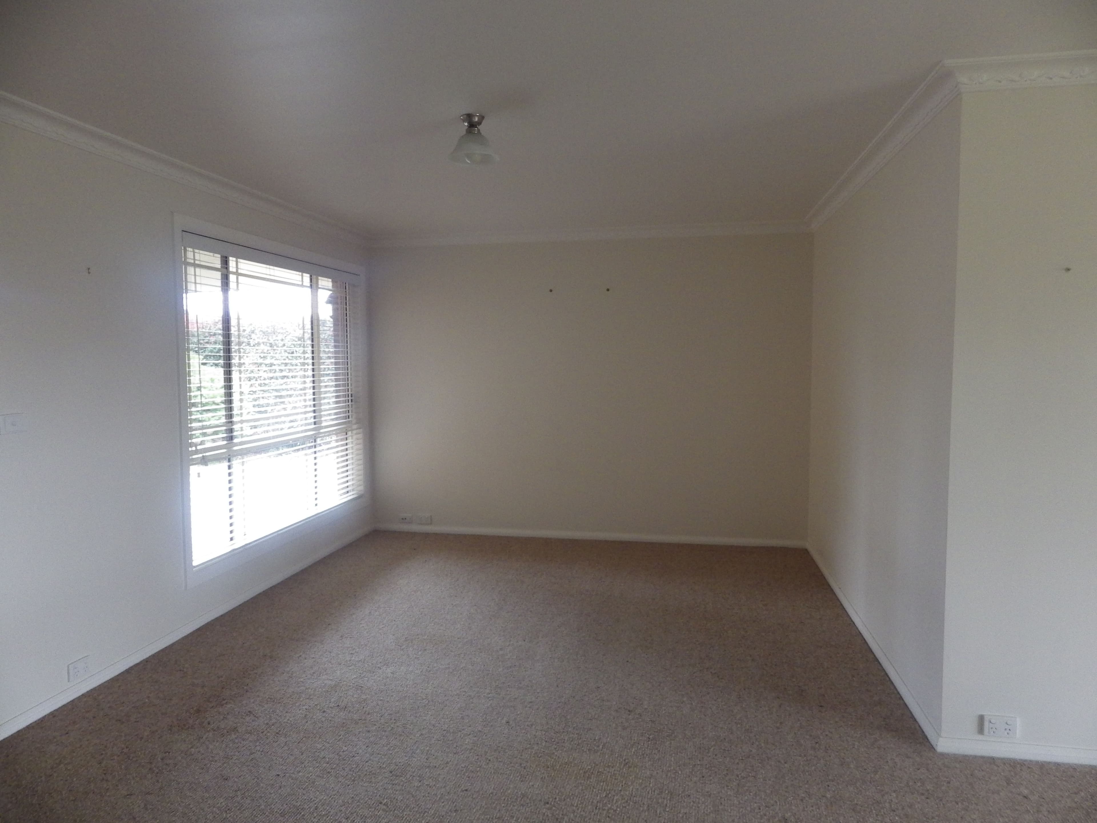 Dorrigo NSW 2453, Dorrigo - Thumbnail 7