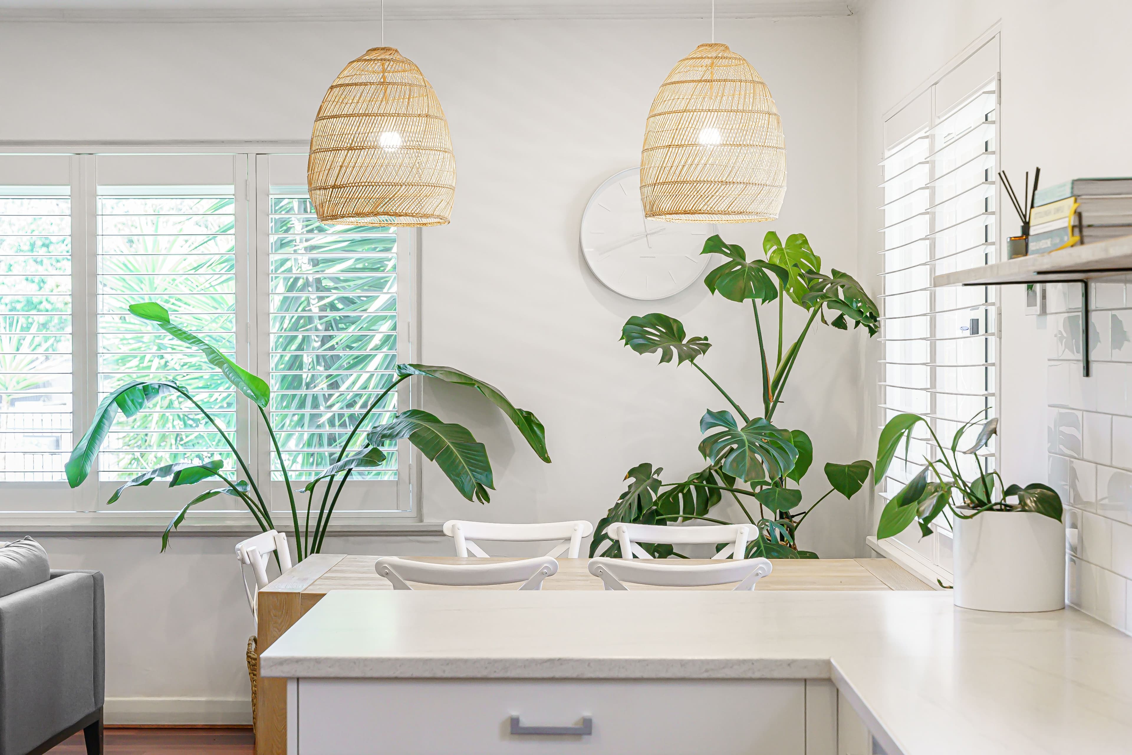 1 Jane Street, Marion SA 5043, Marion - Thumbnail 5