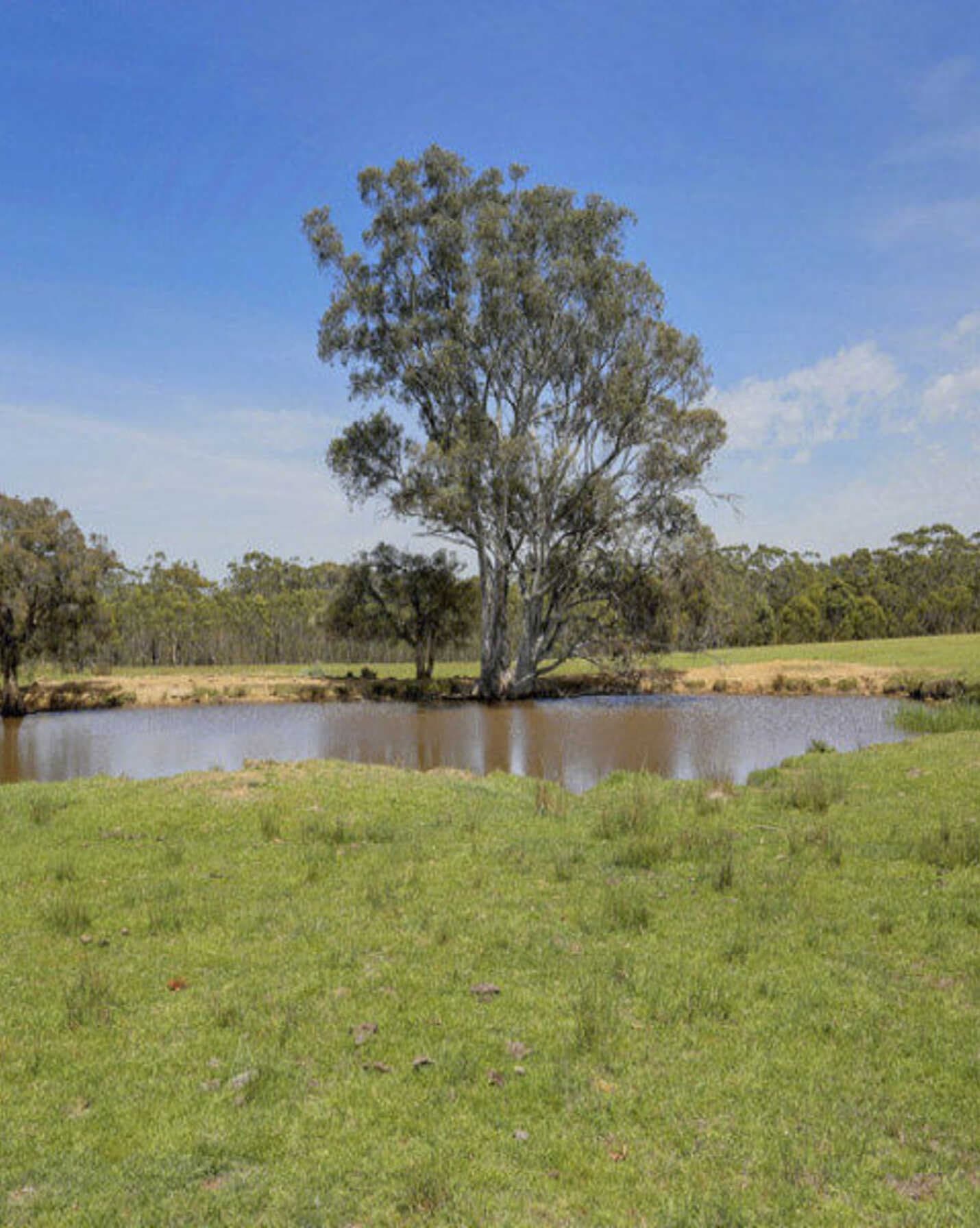 Lot 5 Wombeyan Caves Road High Range, Range - Image 1
