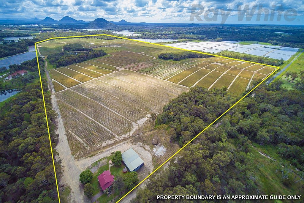 280 Child Road, Wamuran QLD 4512, Wamuran - Image 1