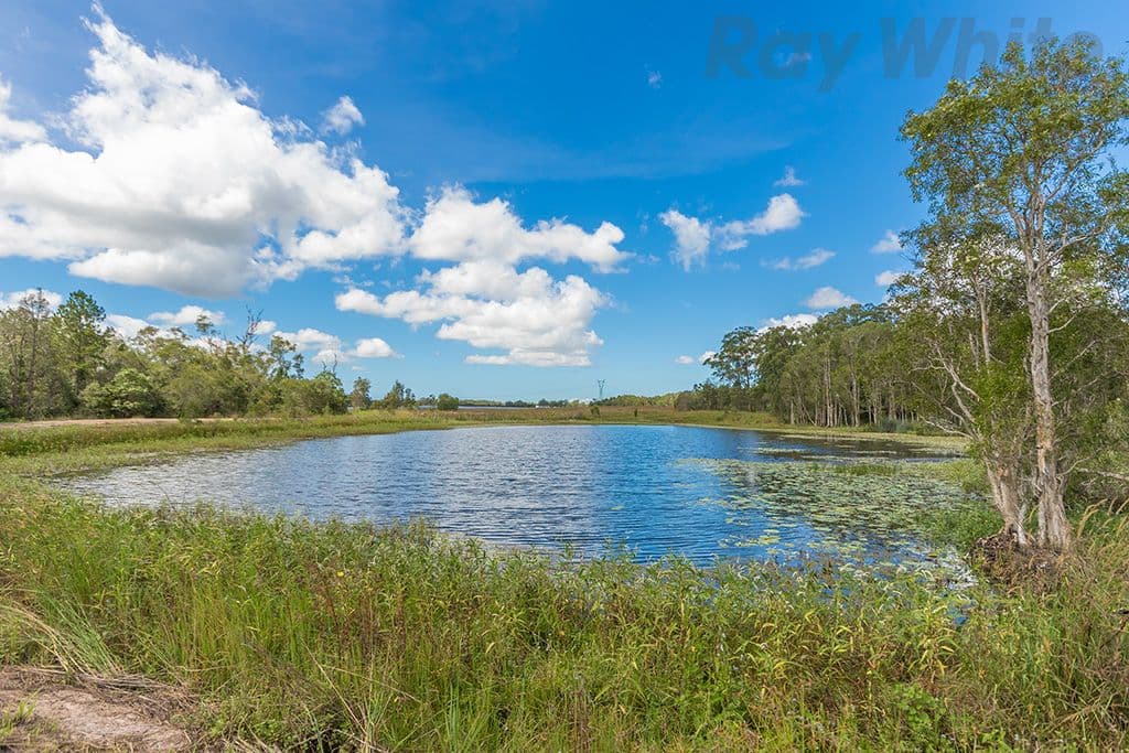 280 Child Road, Wamuran QLD 4512, Wamuran - Thumbnail 4
