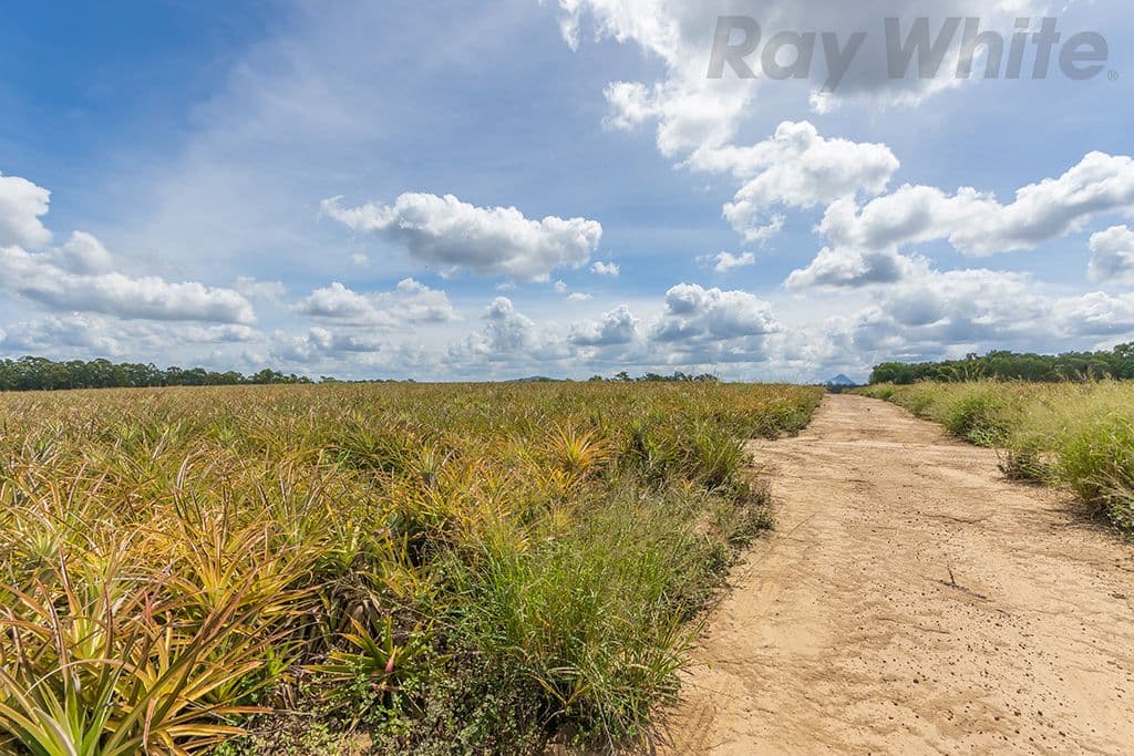 280 Child Road, Wamuran QLD 4512, Wamuran - Thumbnail 6
