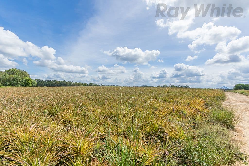 280 Child Road, Wamuran QLD 4512, Wamuran - Thumbnail 7