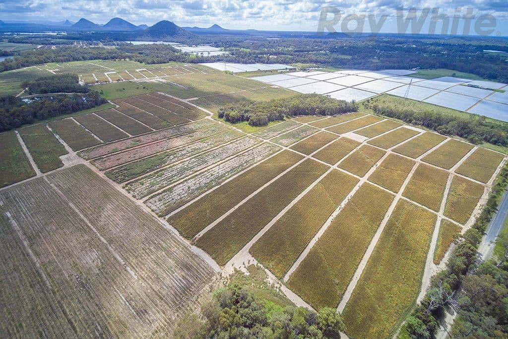 280 Child Road, Wamuran QLD 4512, Wamuran - Thumbnail 8