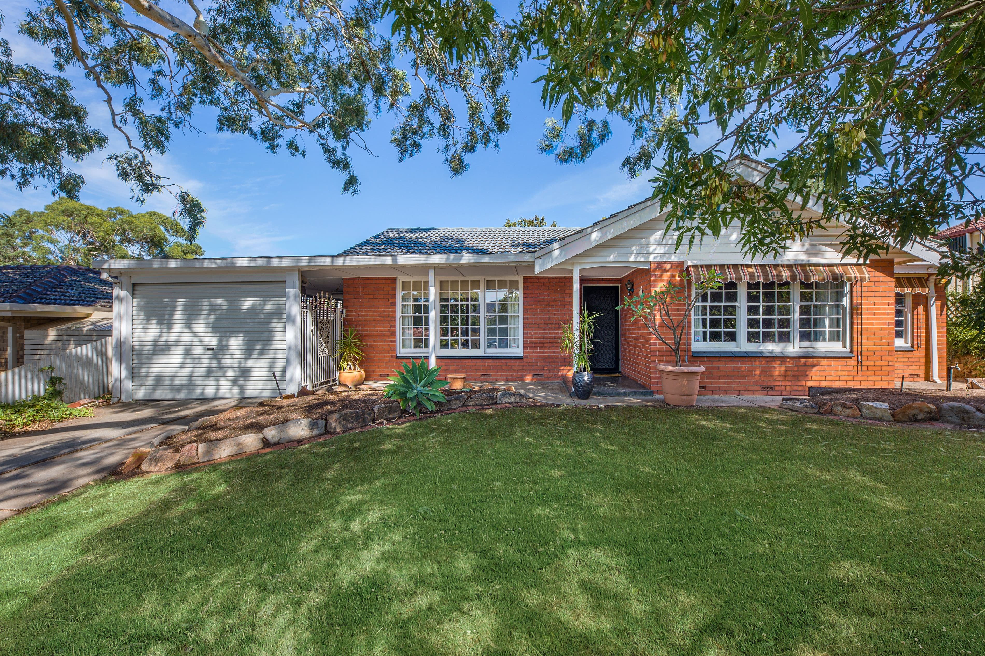 7 Colline Street, Surrey Downs SA 5126, Surrey Downs - Thumbnail 3