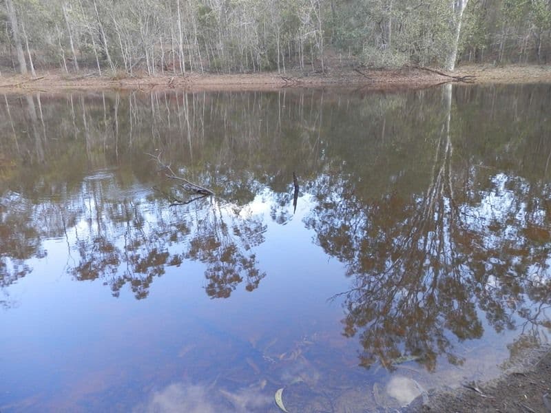 Lot 21 Office Lane, WANORA QLD 4306, Wanora - Thumbnail 2