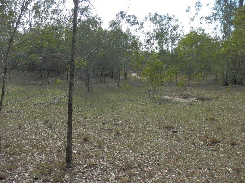 Lot 21 Office Lane, WANORA QLD 4306, Wanora - Thumbnail 3